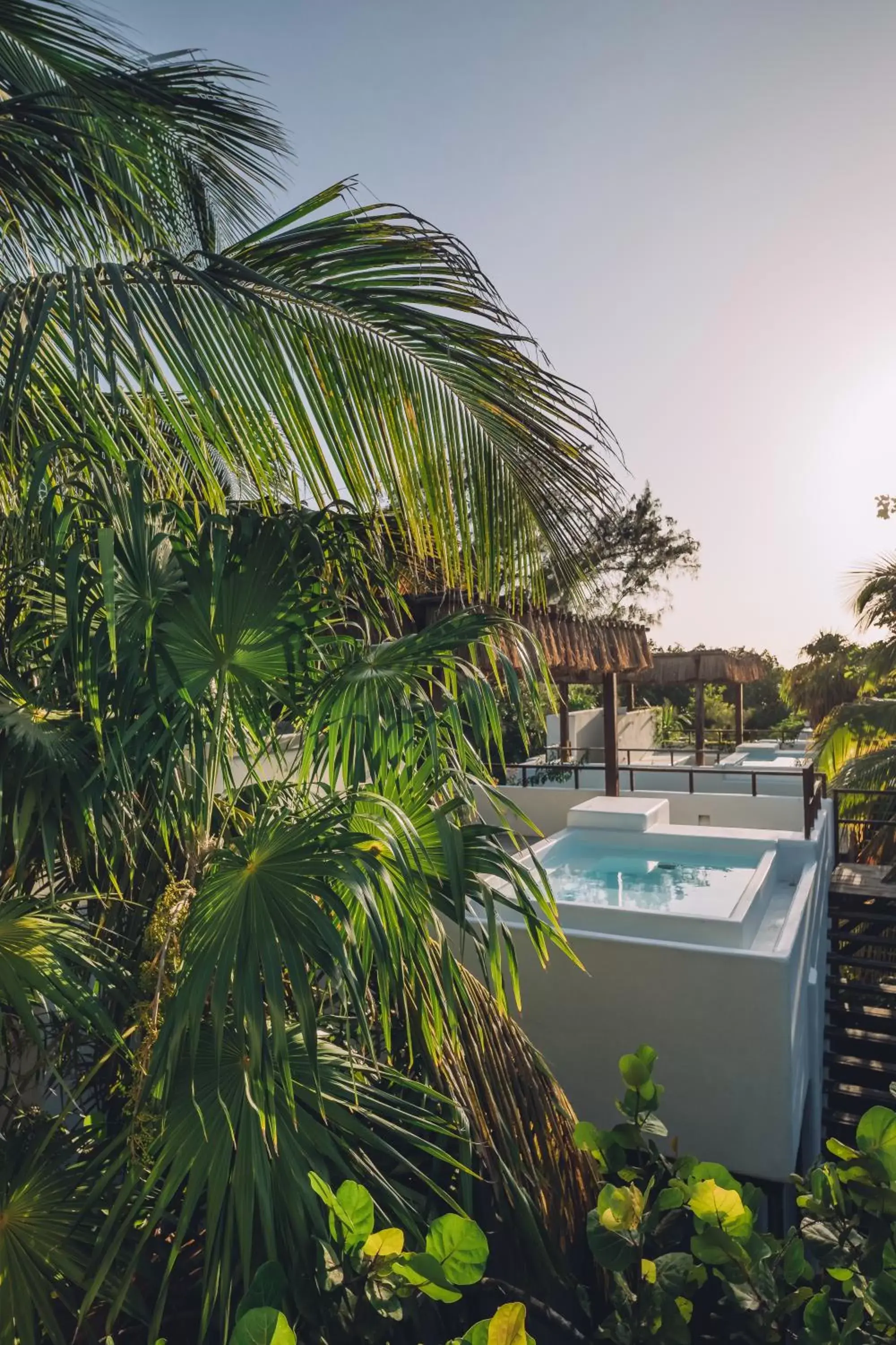 View (from property/room), Swimming Pool in Chiringuito Tulum