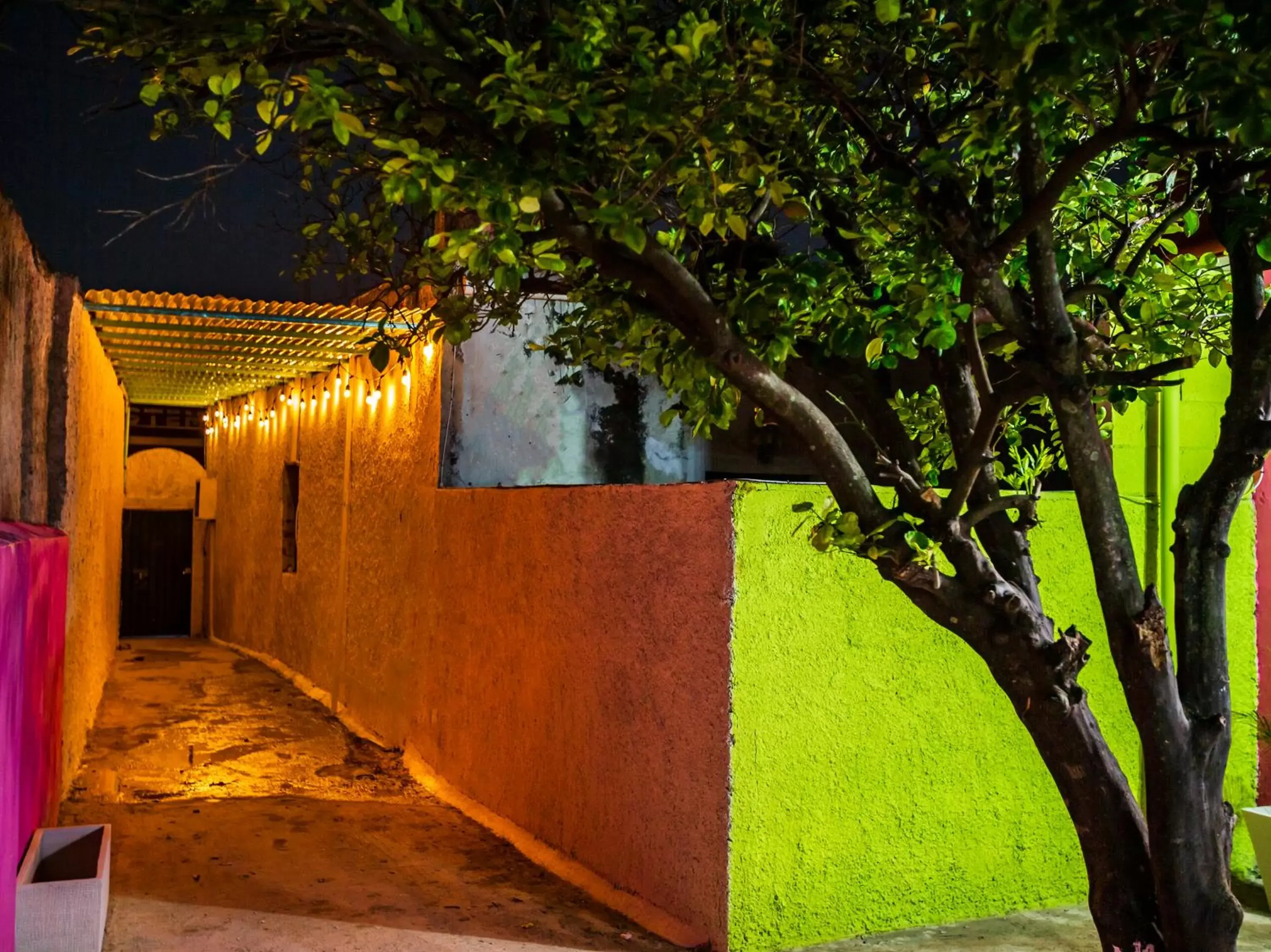 Facade/entrance in Casa Cuevas & Amaro