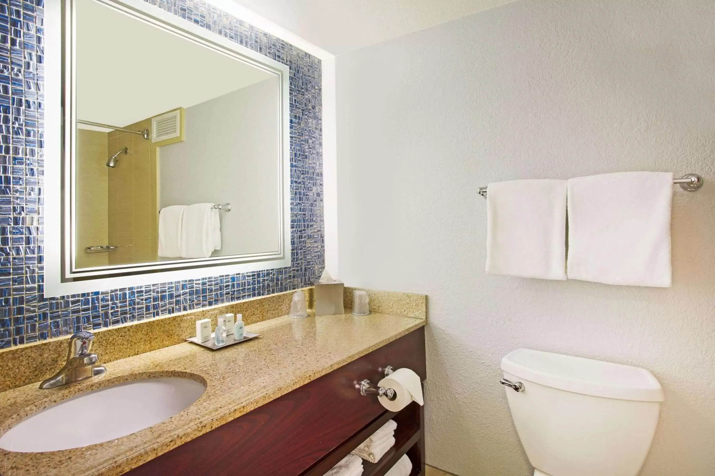Bathroom in Wyndham Lake Buena Vista Resort Disney Springs® Resort Area