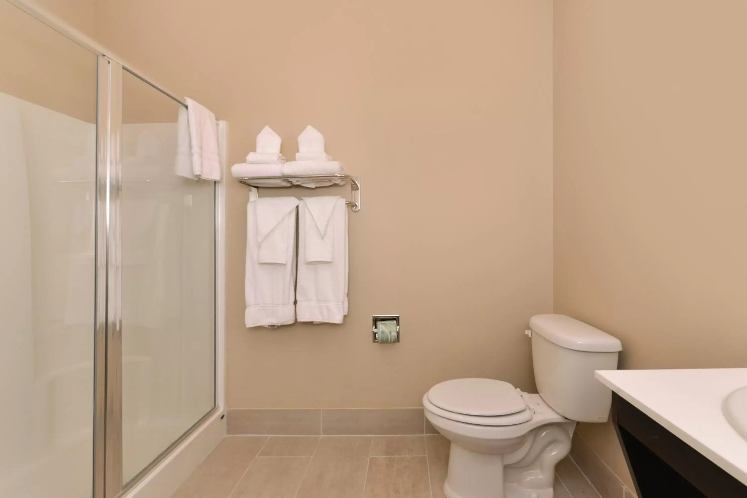 Bathroom in Legacy Suites Donaldsonville