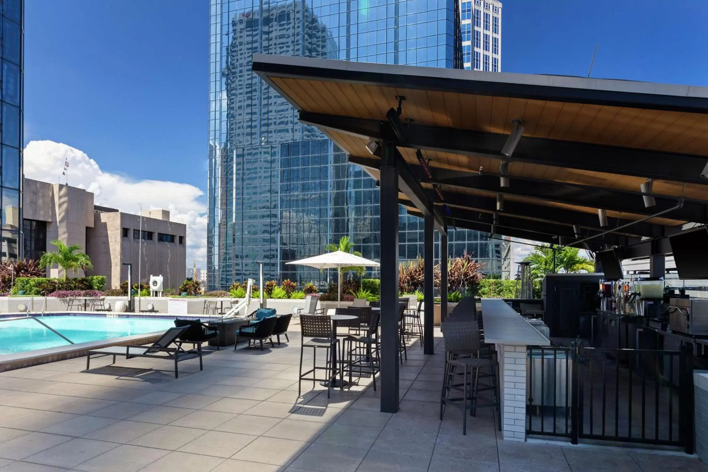 Lounge or bar, Swimming Pool in Hilton Tampa Downtown