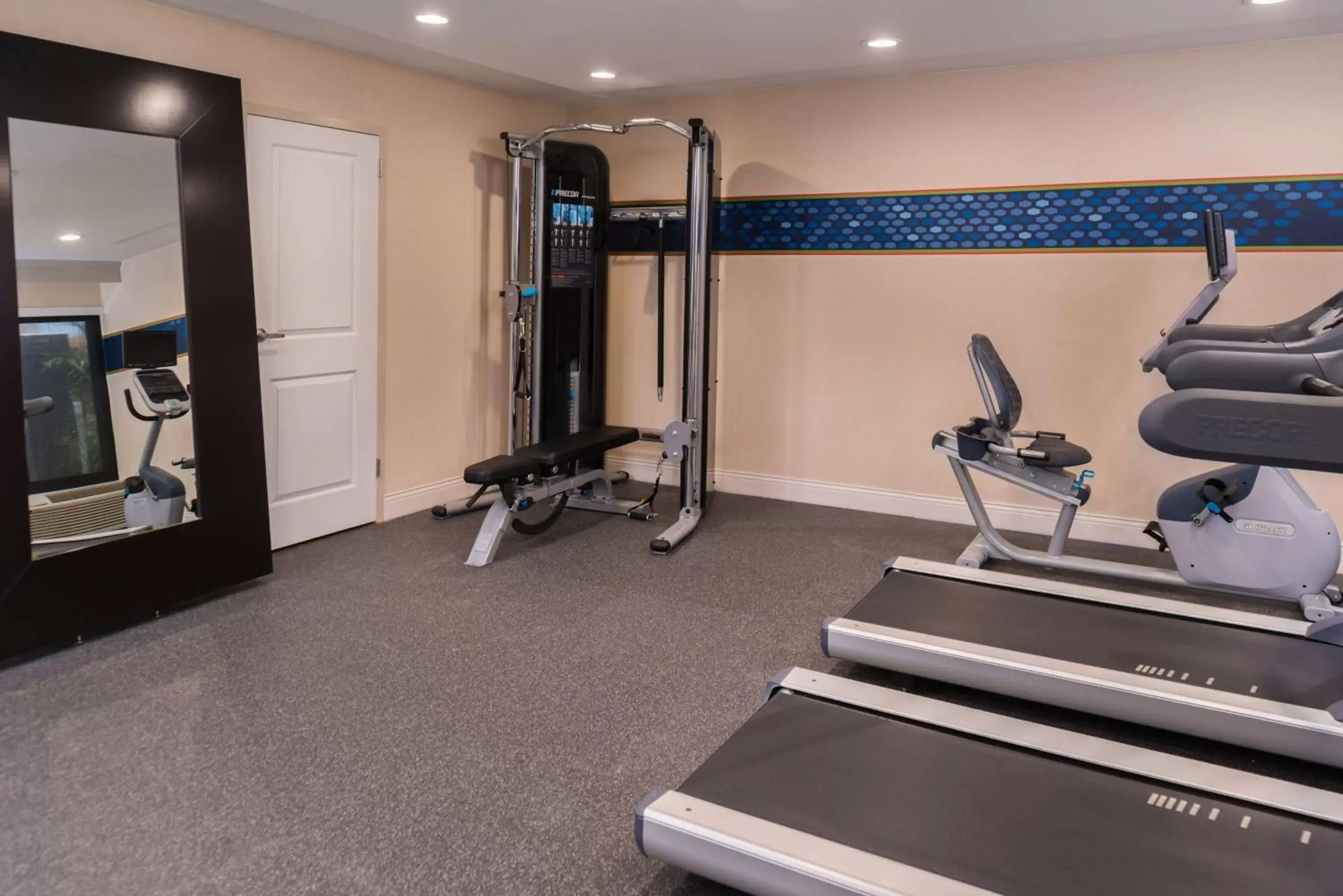 Fitness centre/facilities, Fitness Center/Facilities in Hampton Inn Los Angeles-West Covina