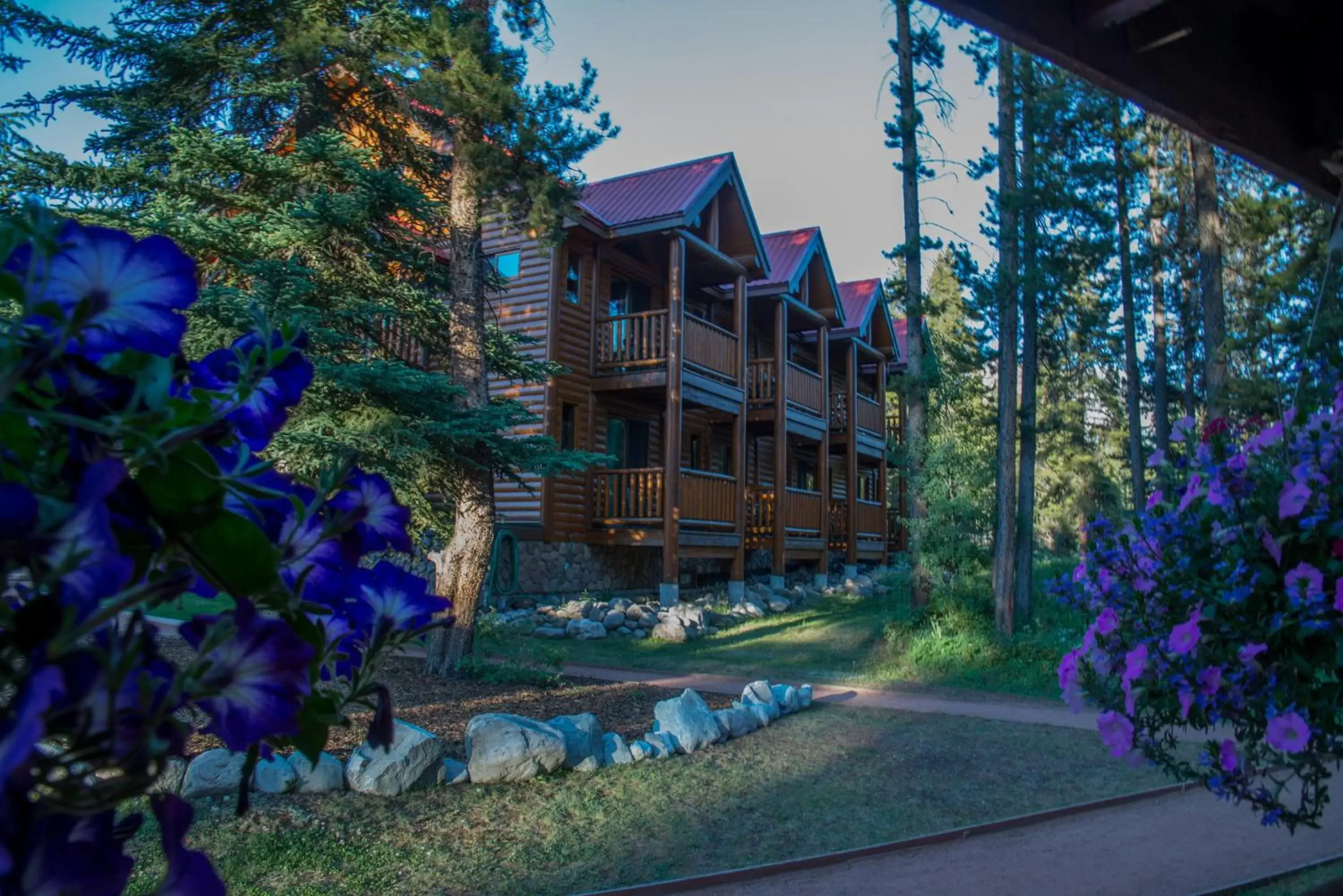 Property building in Baker Creek By Basecamp