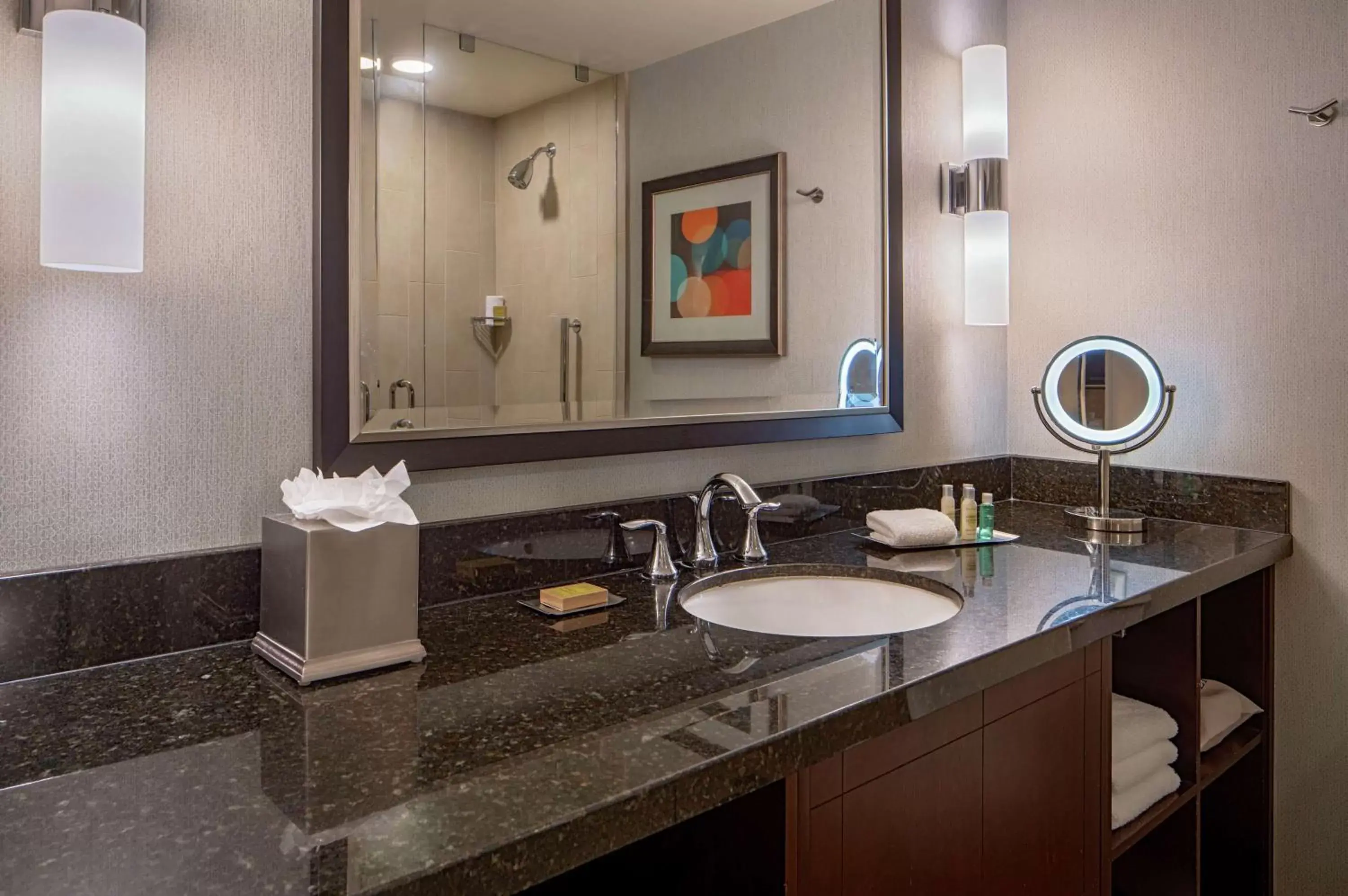 Bathroom in Doubletree Suites by Hilton Salt Lake City