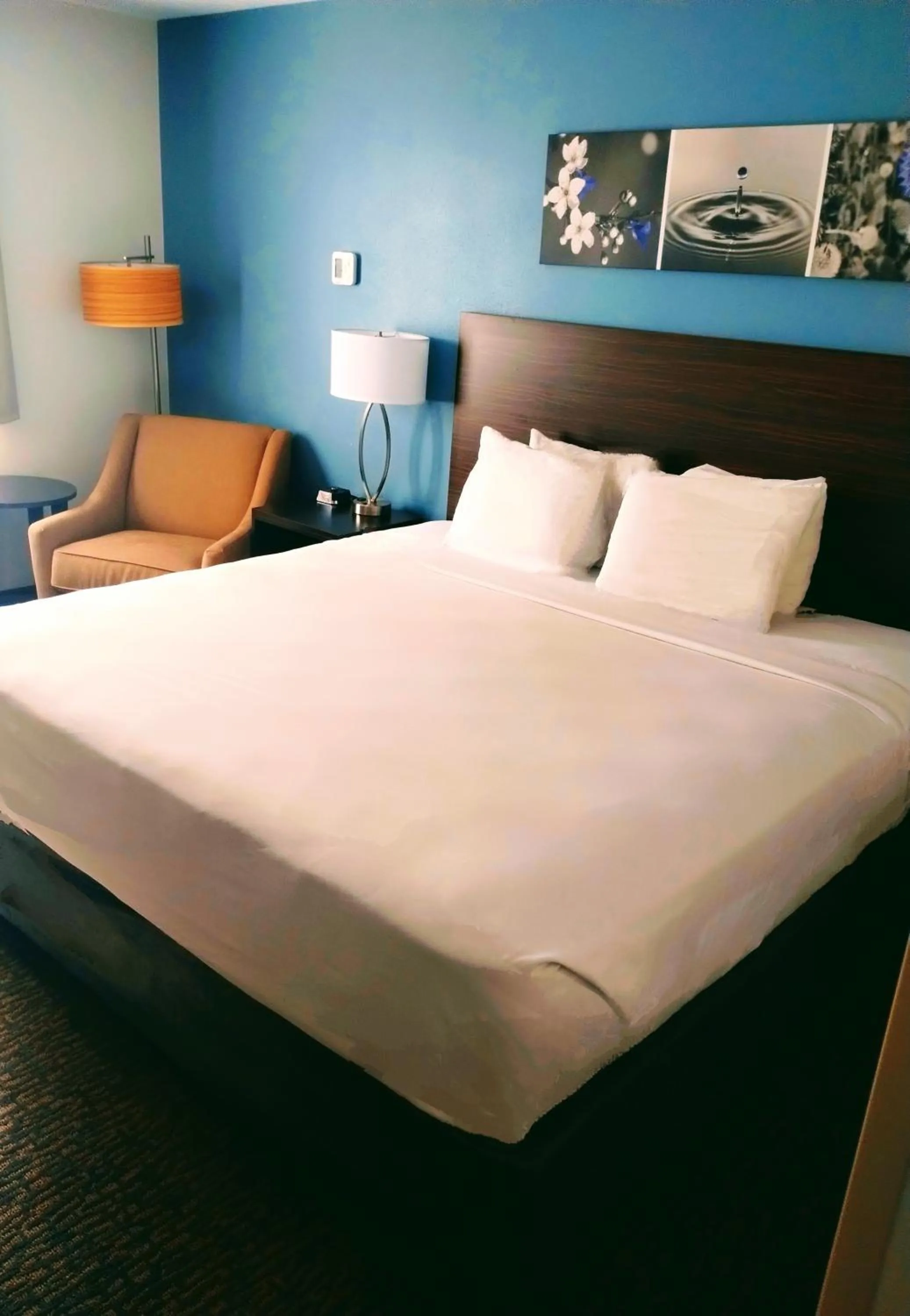 Photo of the whole room, Bed in Sleep Inn Kelso Longview