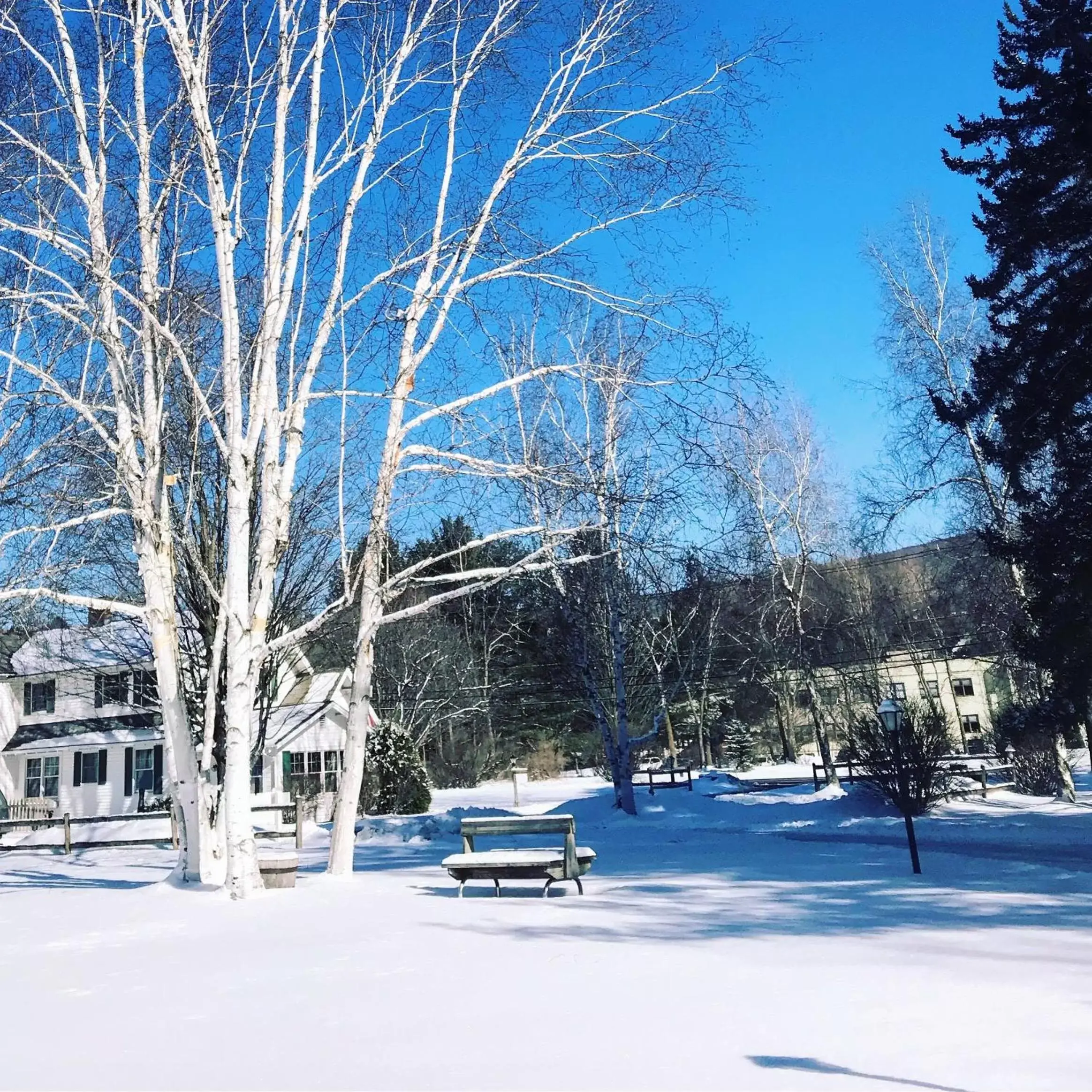 Winter in Aspen at Manchester