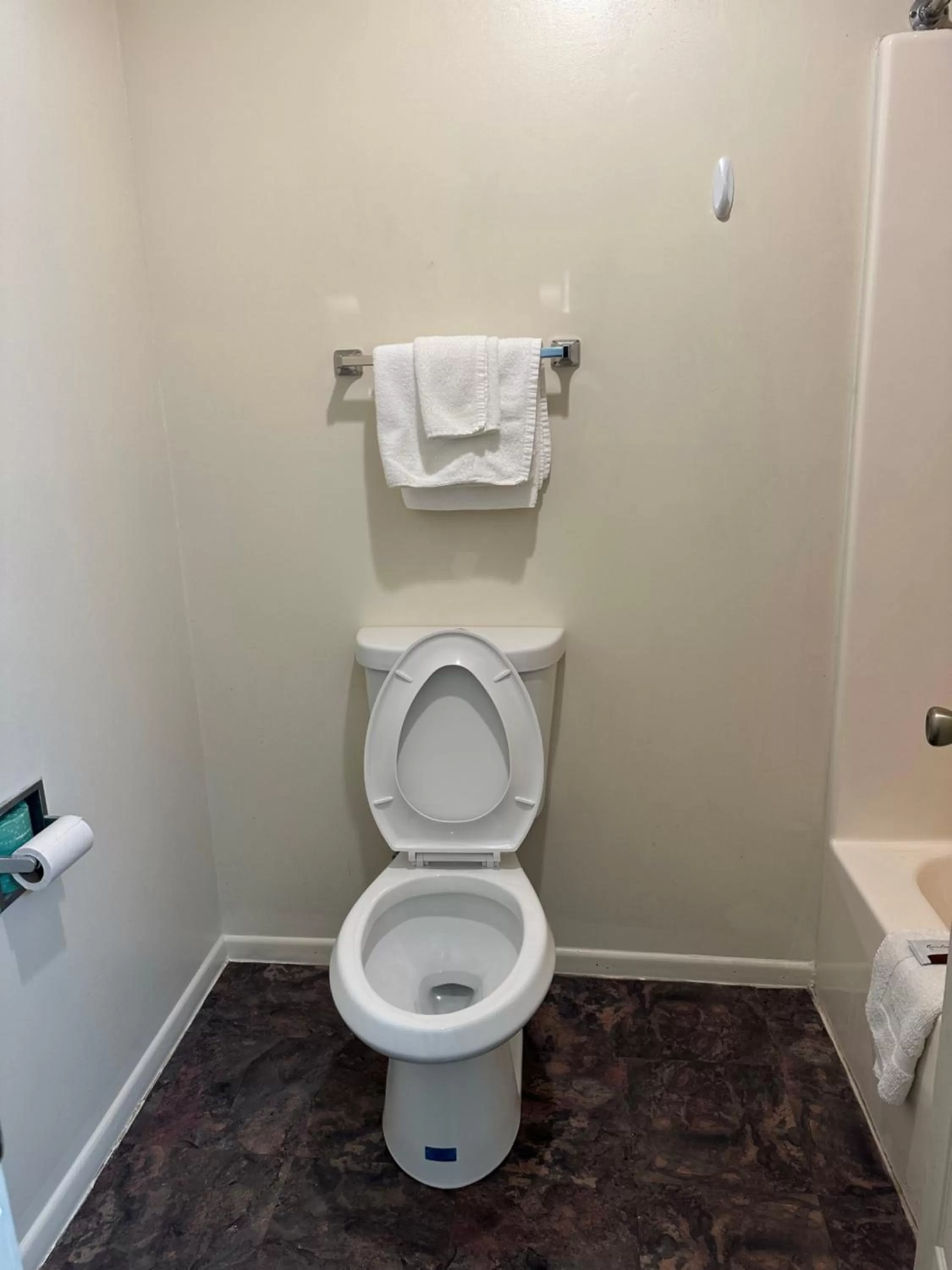 towels in Economy Inn