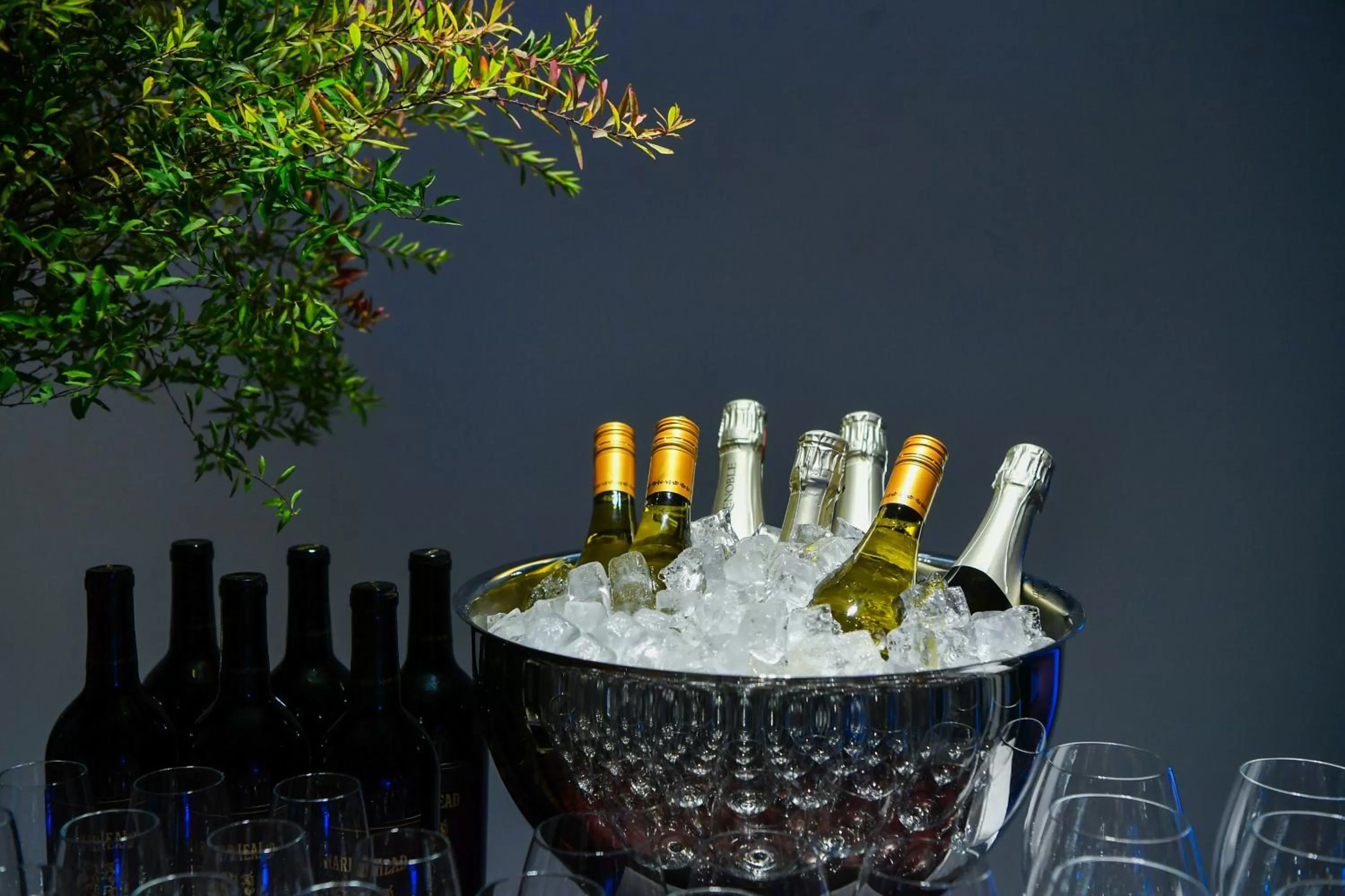 Alcoholic drinks in BEI Zhaolong Hotel, JdV by Hyatt