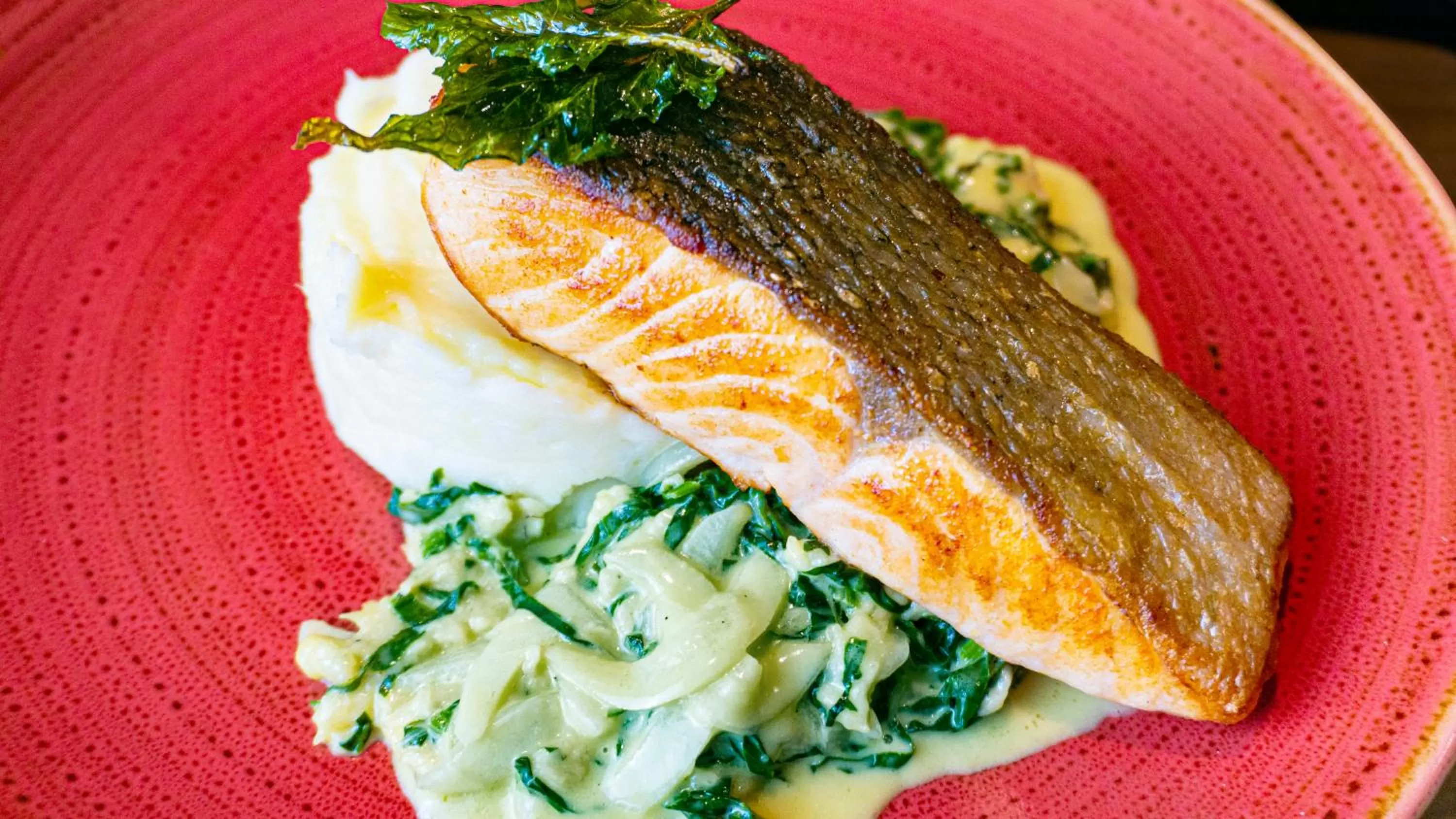 Restaurant/places to eat in ibis Barranquilla