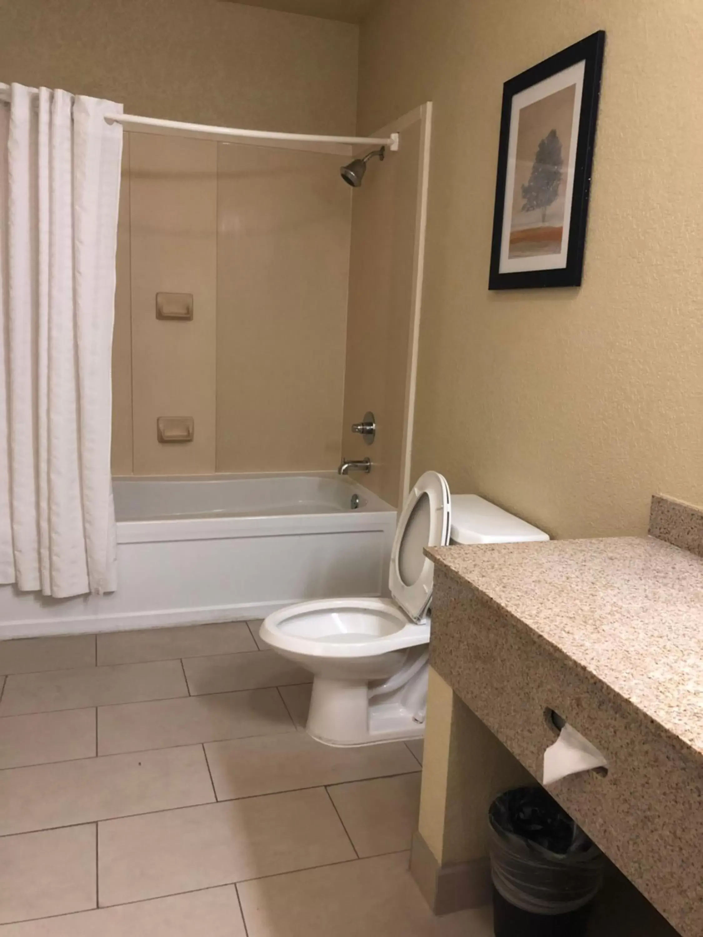 Bathroom in Best Western Plus Hill Country Suites - San Antonio