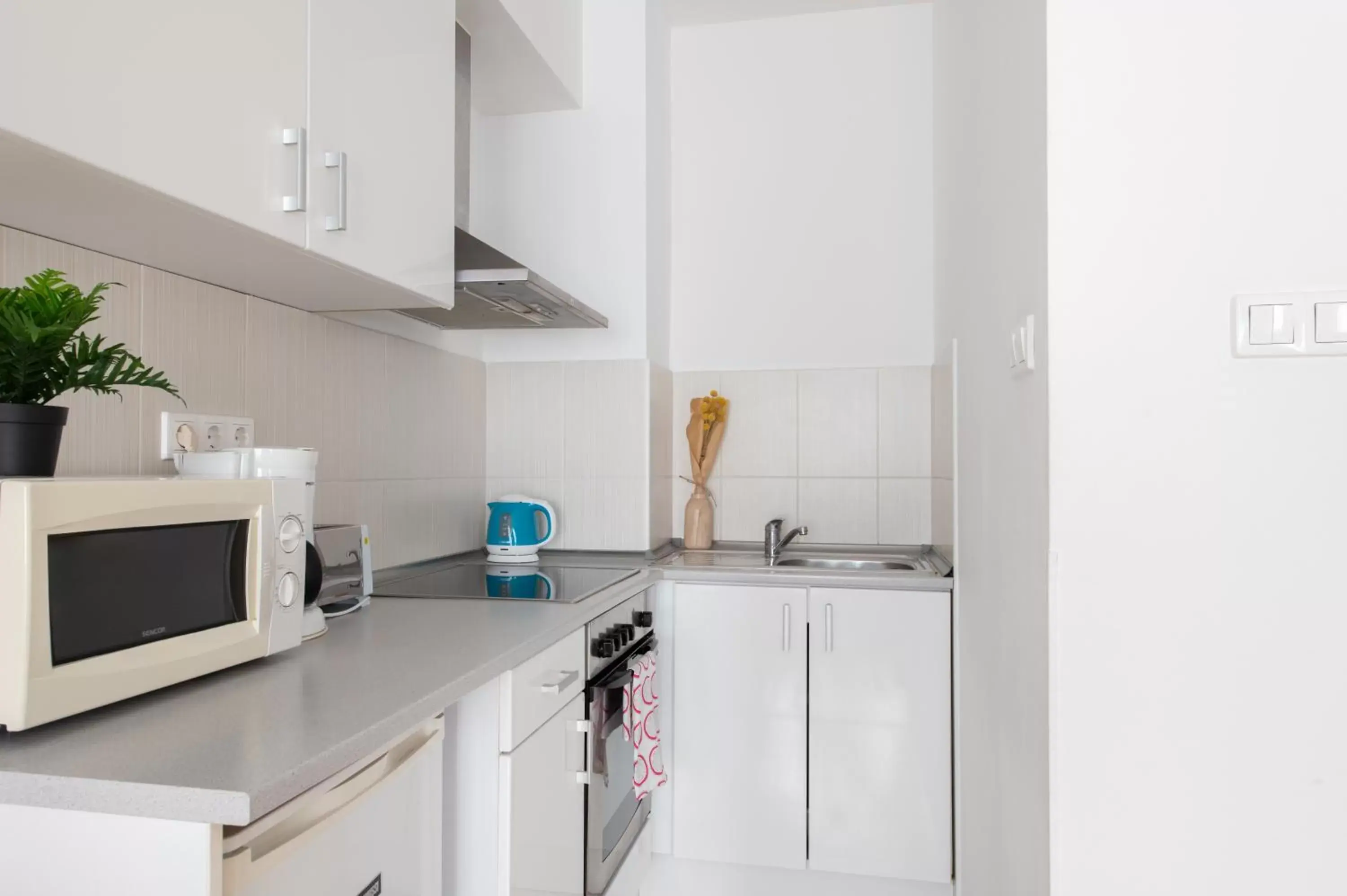 Kitchen or kitchenette, Kitchen/Kitchenette in Prince Apartments