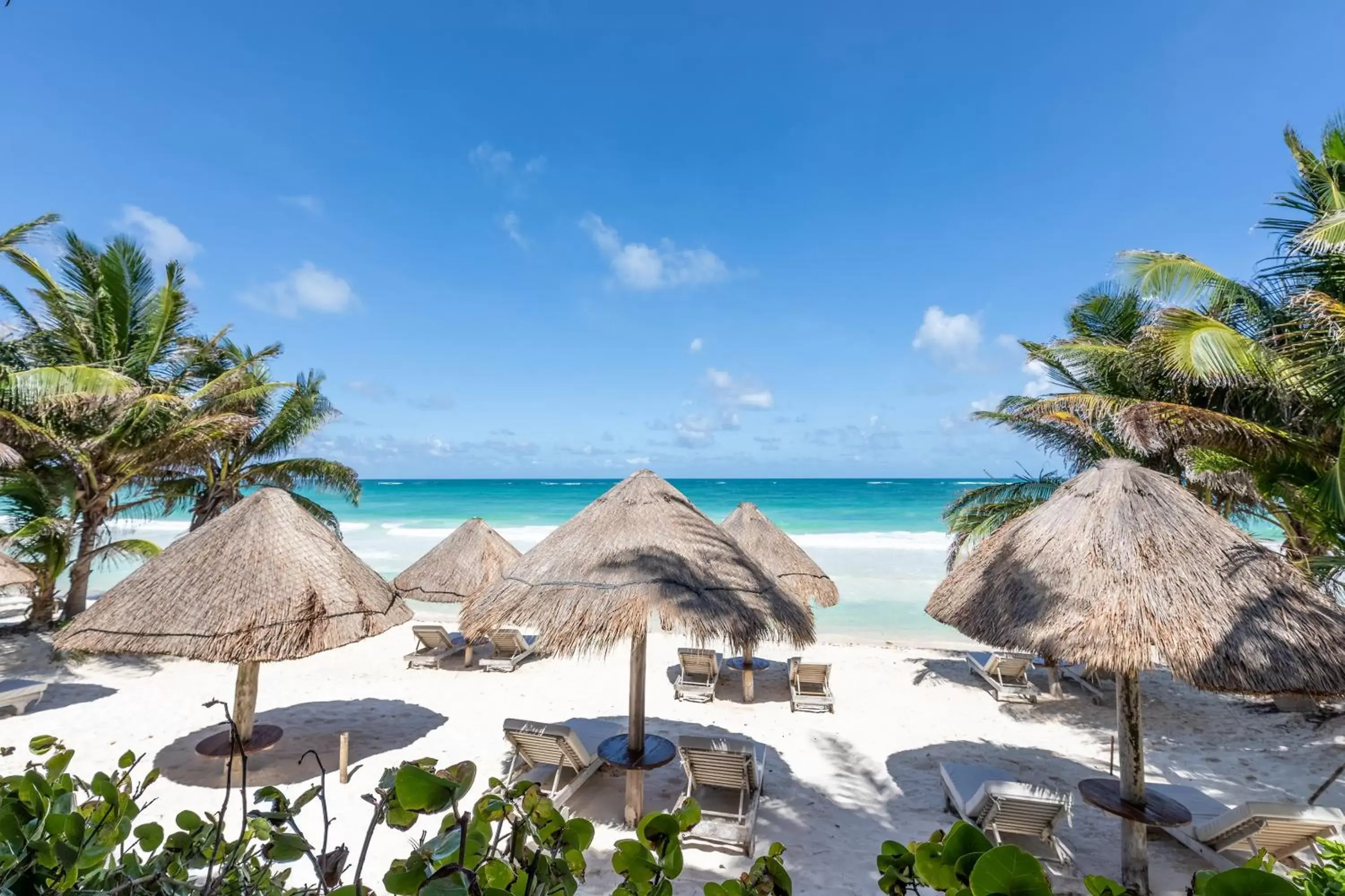 Beach in Encantada Tulum