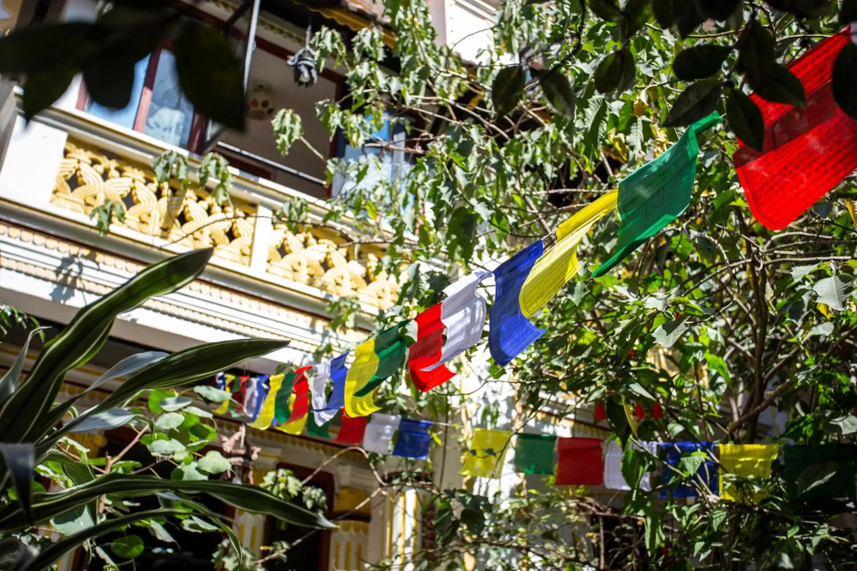 Garden view in Kathmandu Boutique Hotel