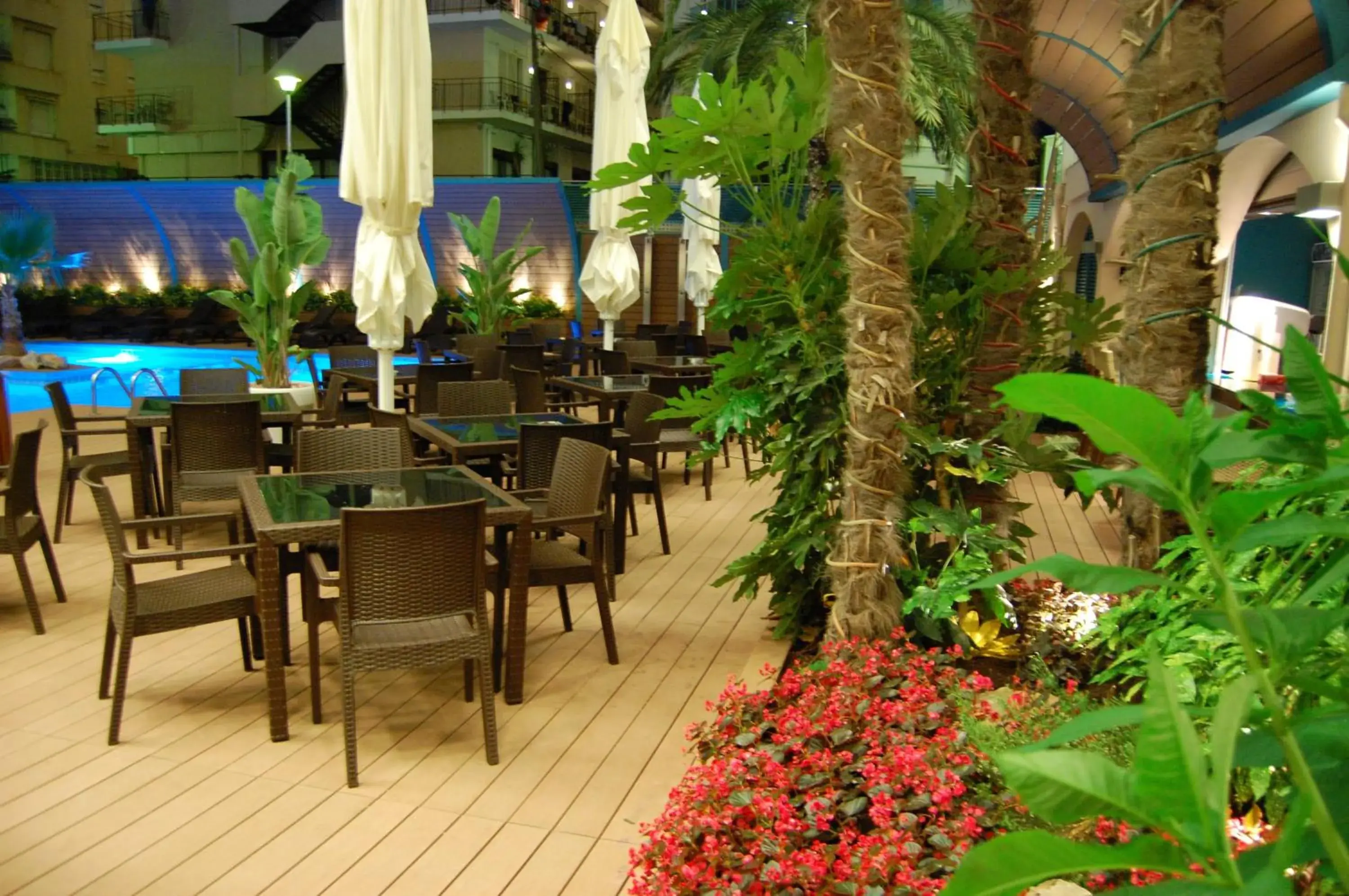 Lounge or bar, Restaurant/Places to Eat in Hotel Kaktus Playa