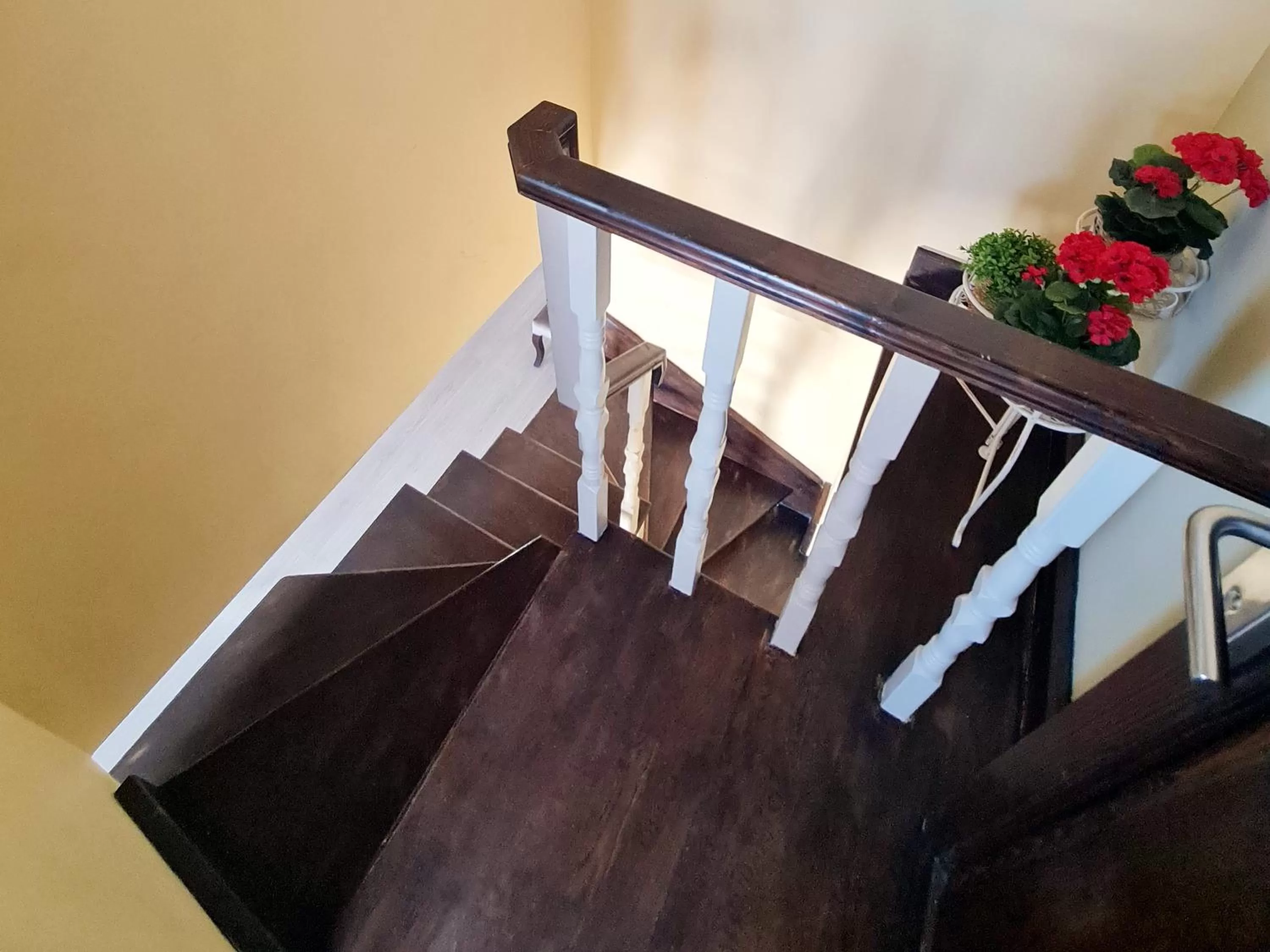 Facade/entrance in SOFIA BOUTIQUE HOTEL