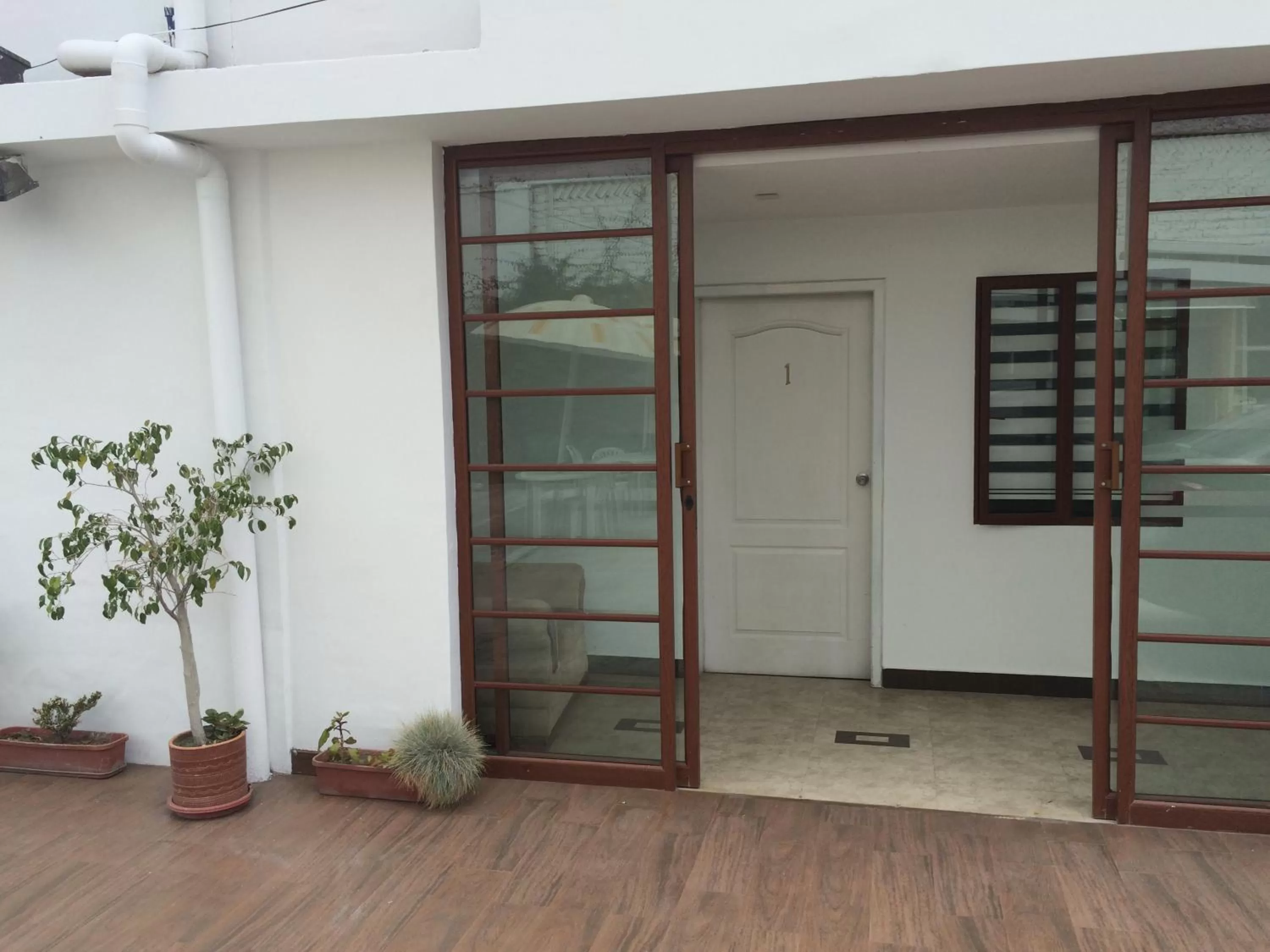 Garden in Hotel Shalom