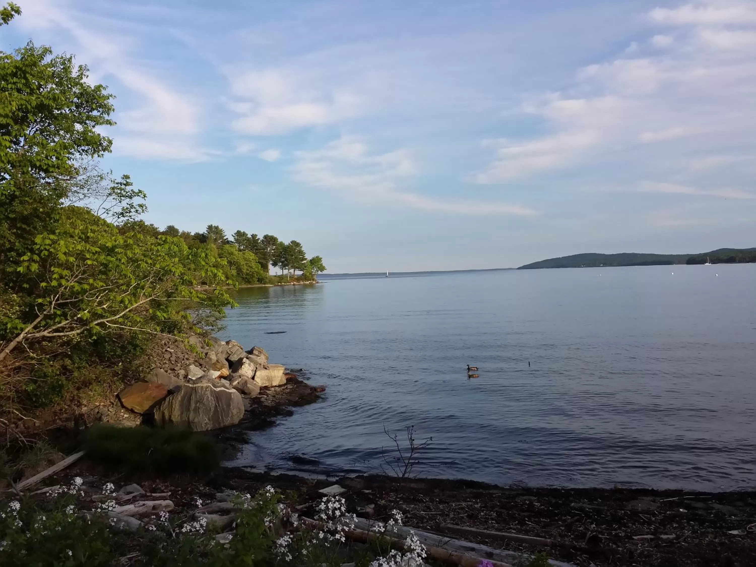 Beach in Belfast Harbor Inn