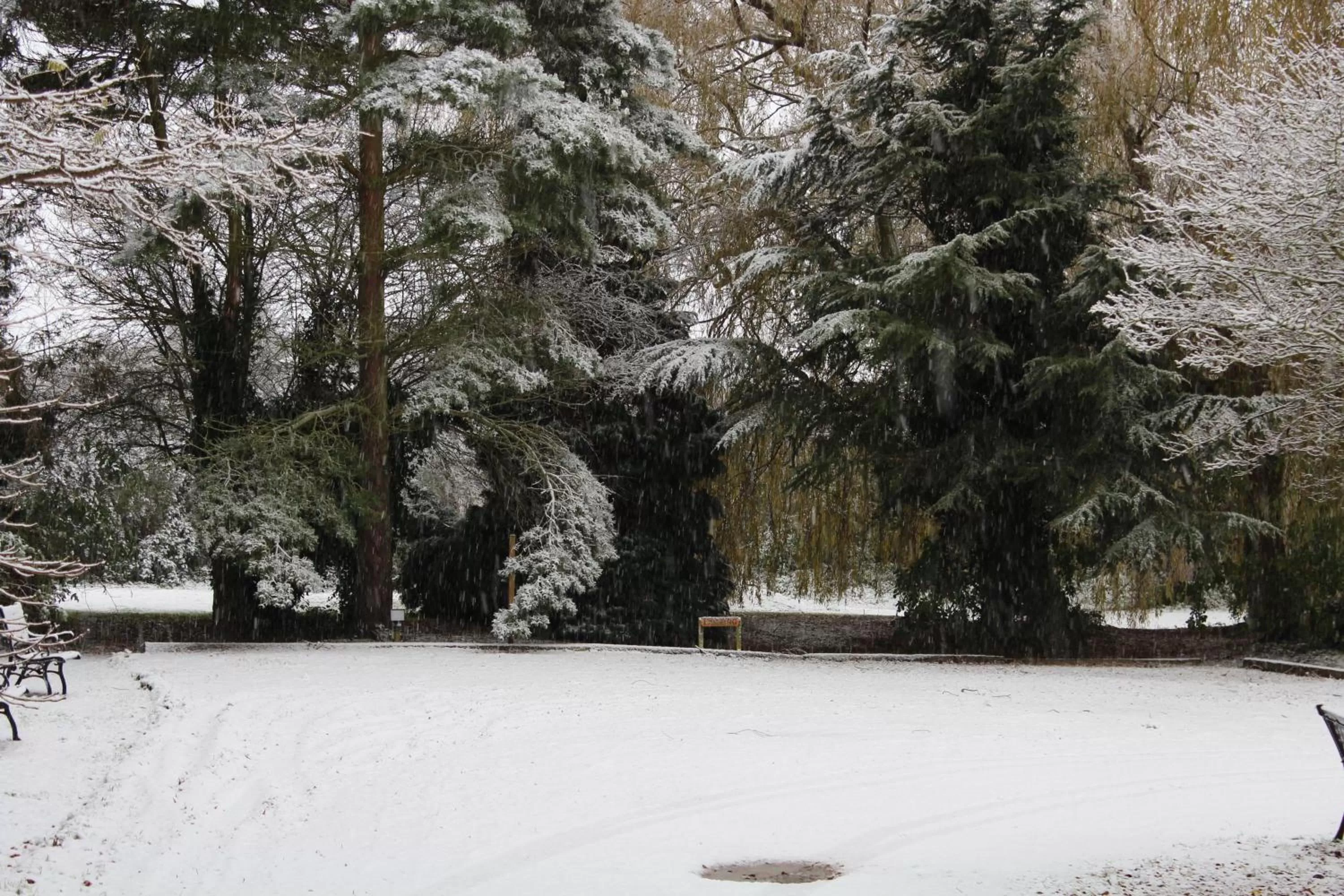 Other, Winter in Molland Manor House Bed & Breakfast