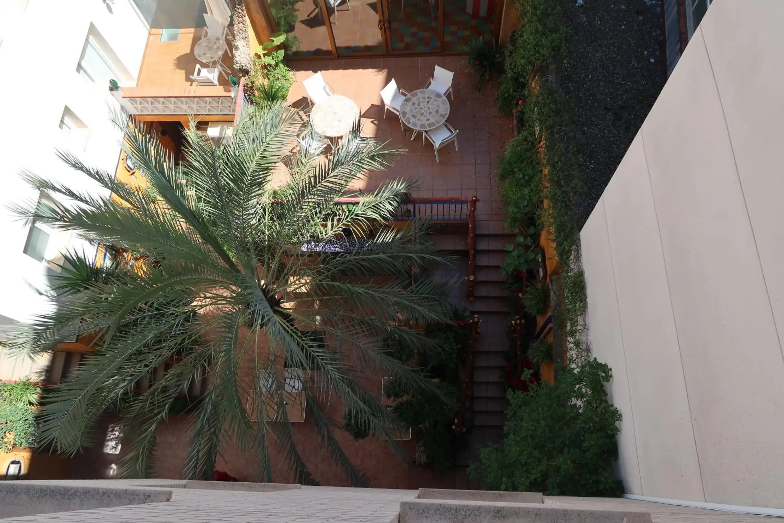 Garden view in El Cami Hotel