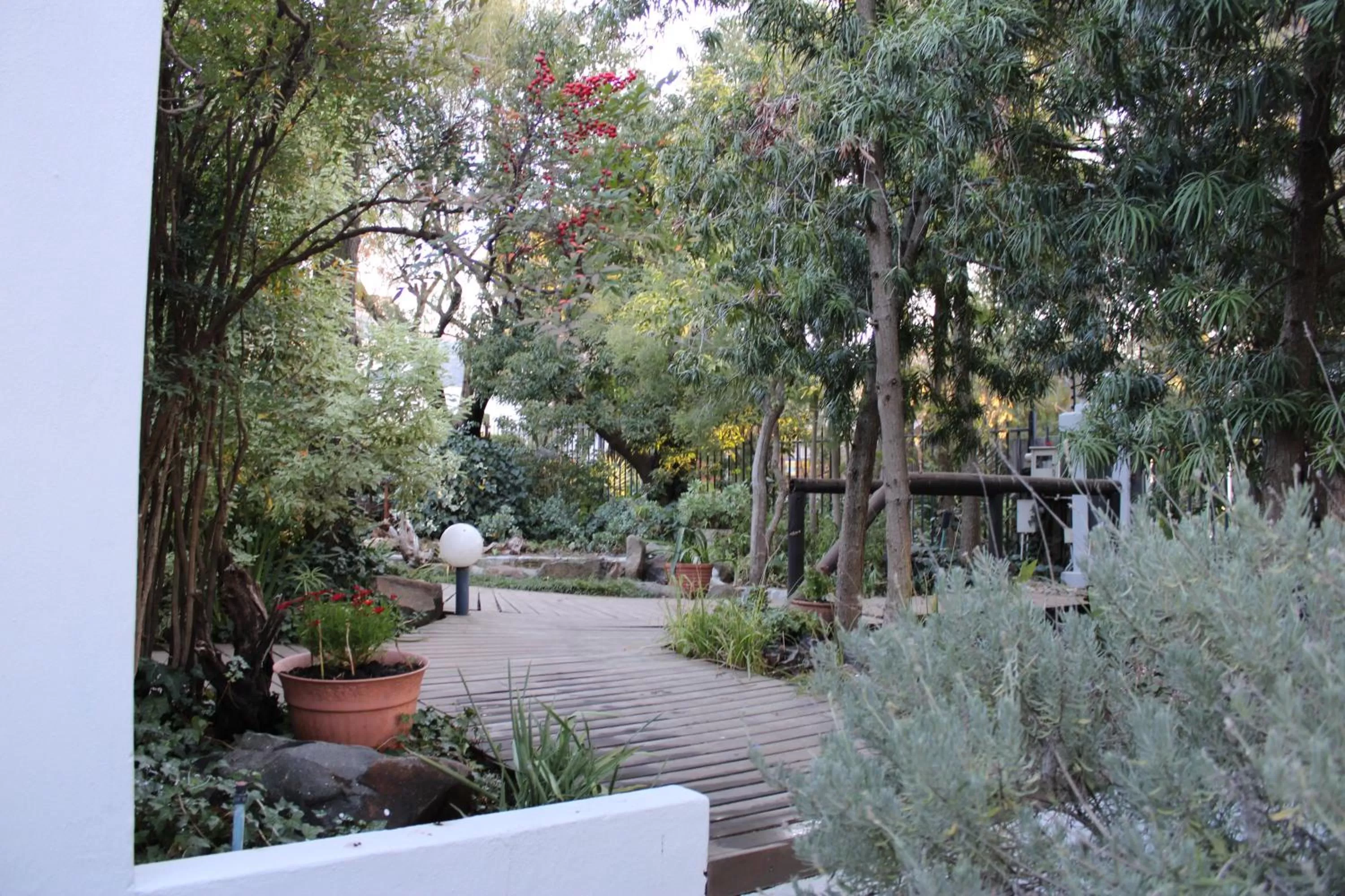 Garden view in Jedidja Bed and Breakfast