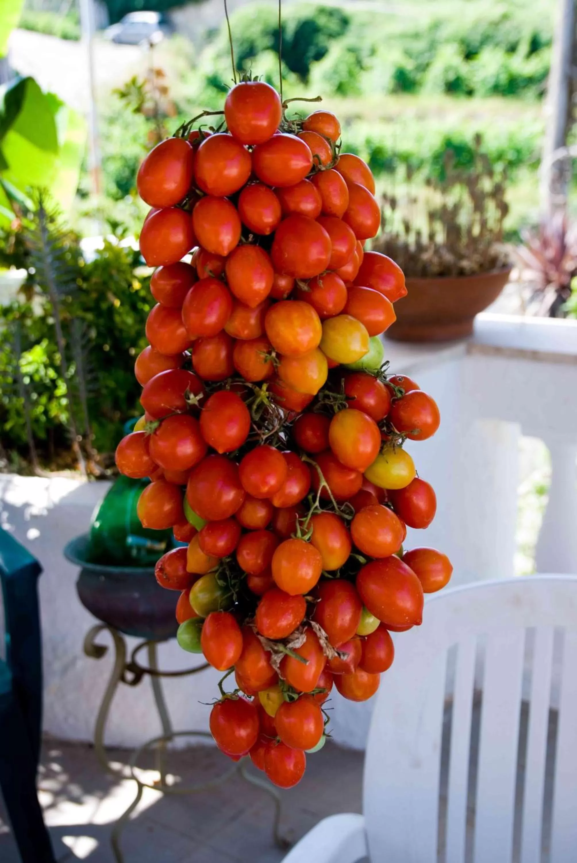 Other in Aparthotel Villa Marinù