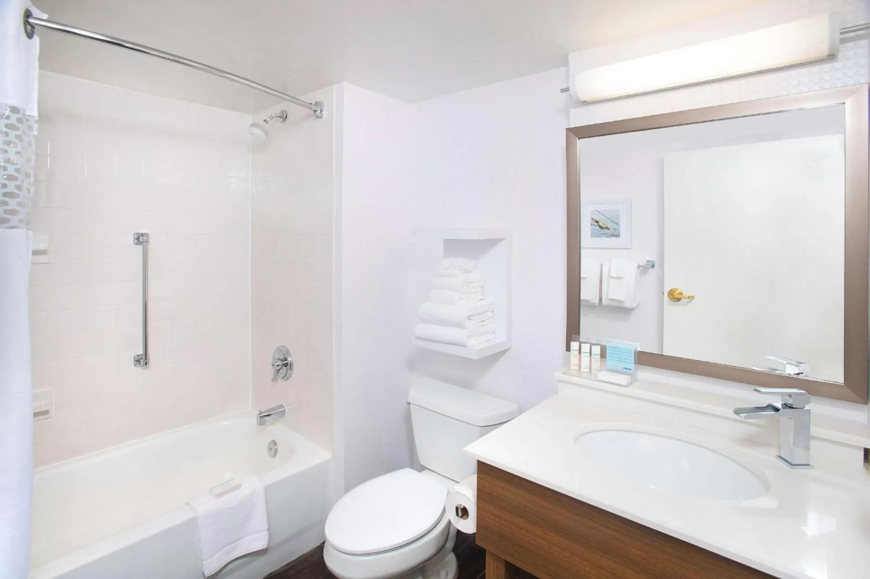 Bathroom in Hampton Inn & Suites Annapolis