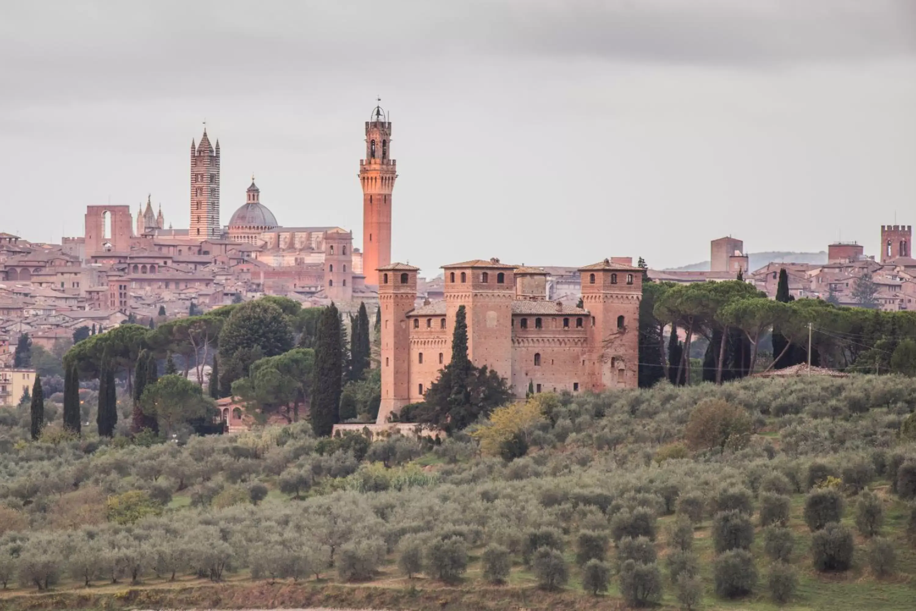 View (from property/room) in Castello Delle Quattro Torra