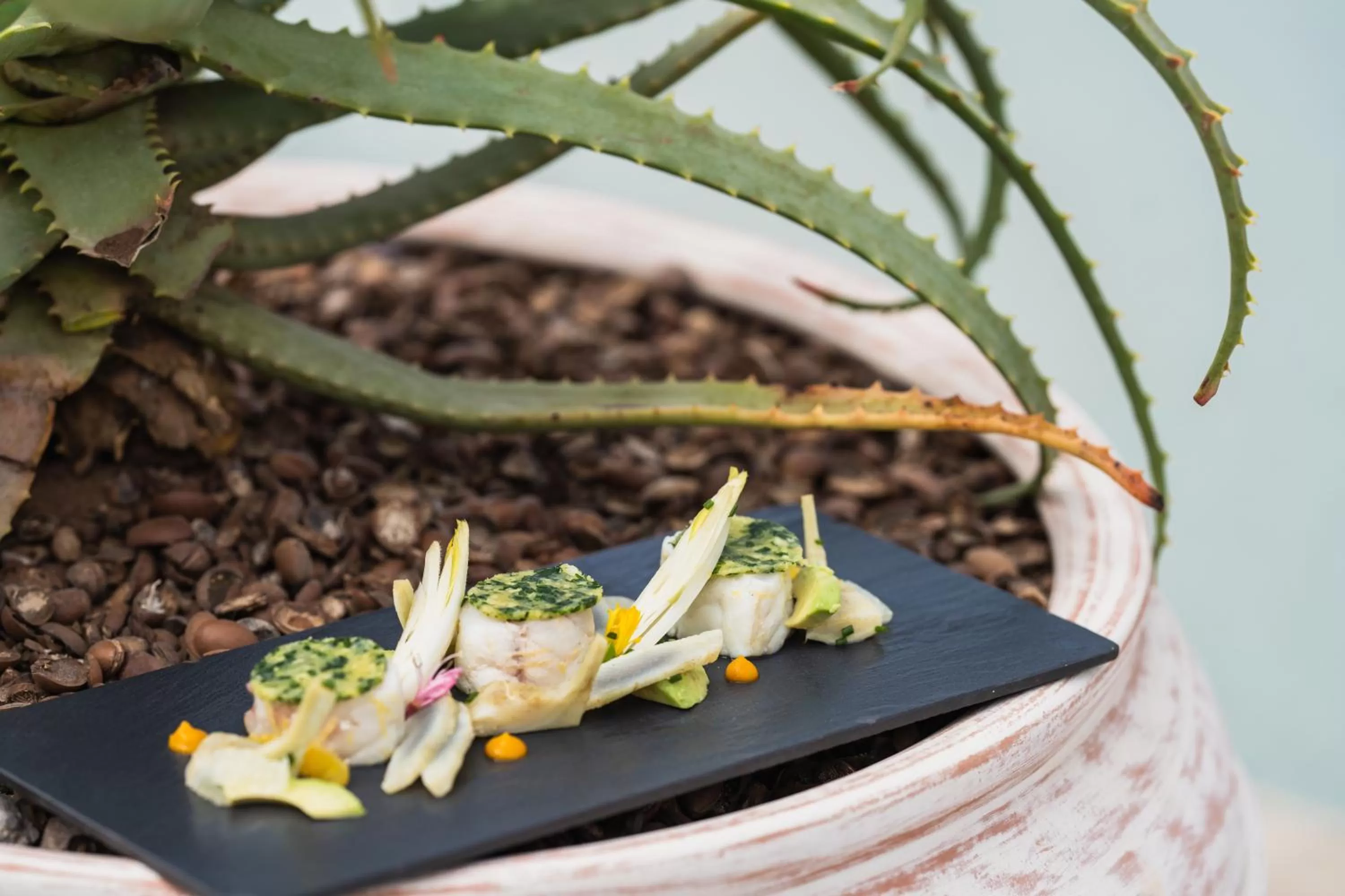 Food and drinks in Sofitel Agadir Thalassa Sea & Spa