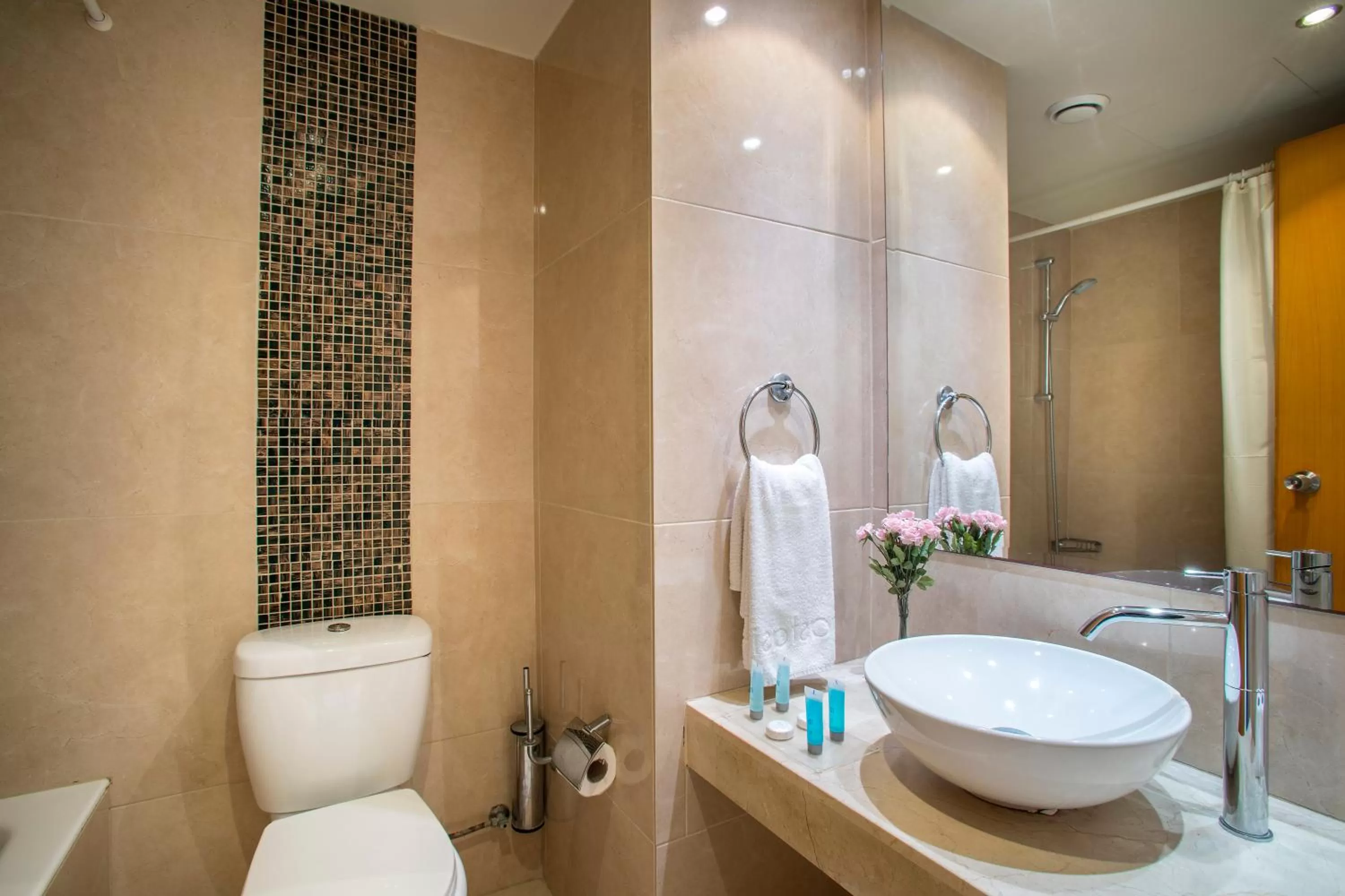 Anastasia Waterpark Beach Resort