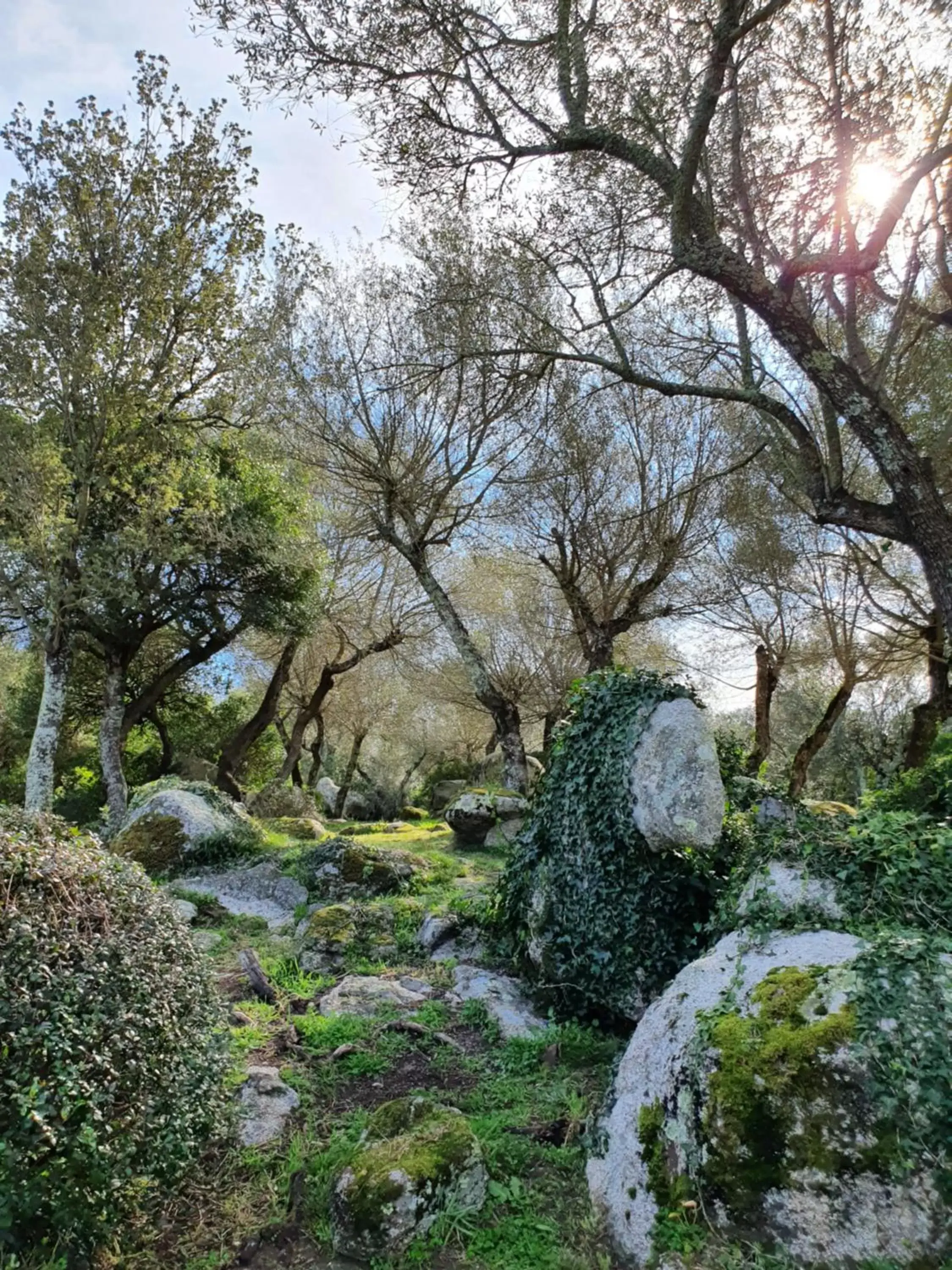 Garden in San Giovanni