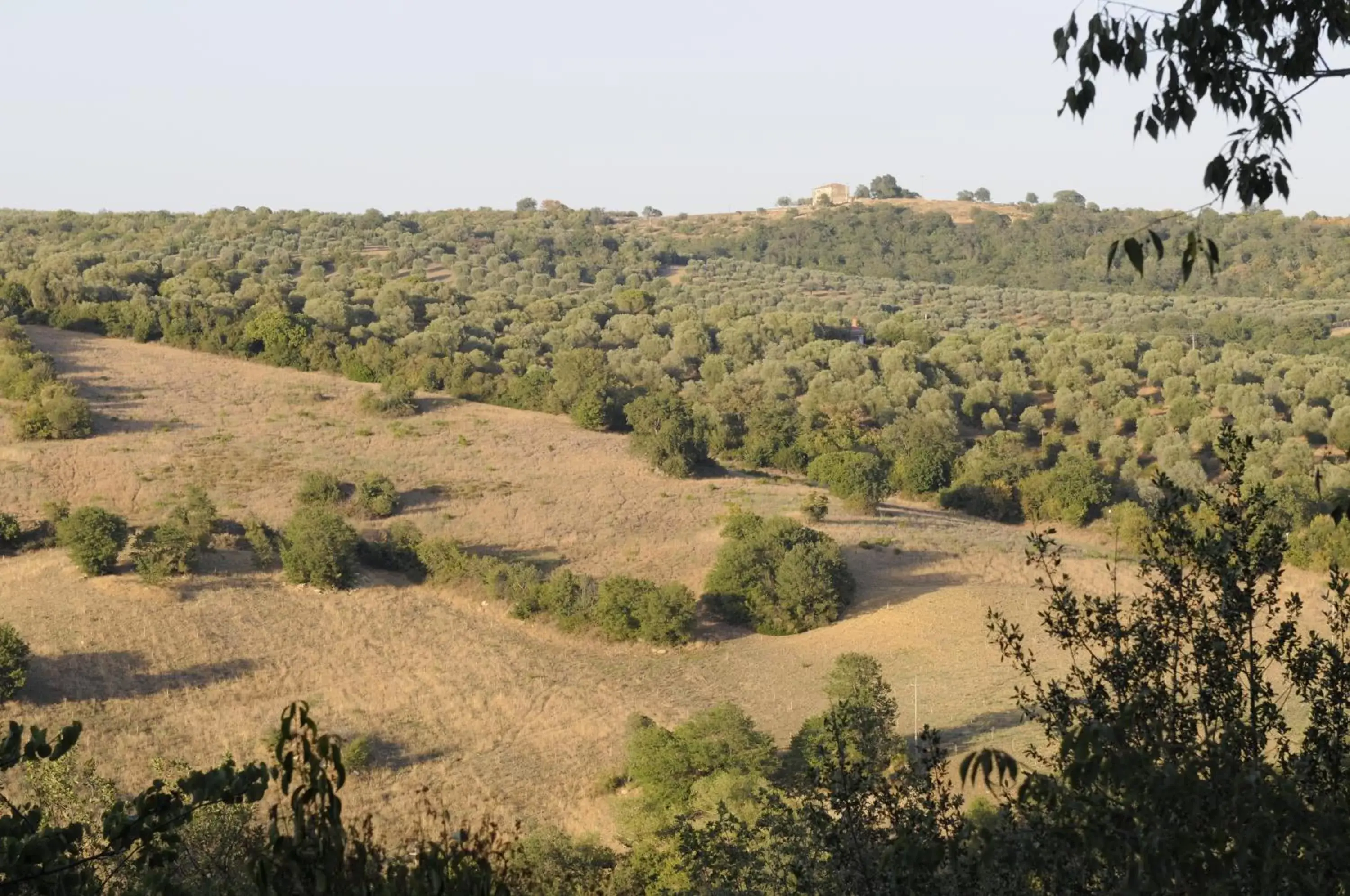 View (from property/room) in Le Tartarughe B&B