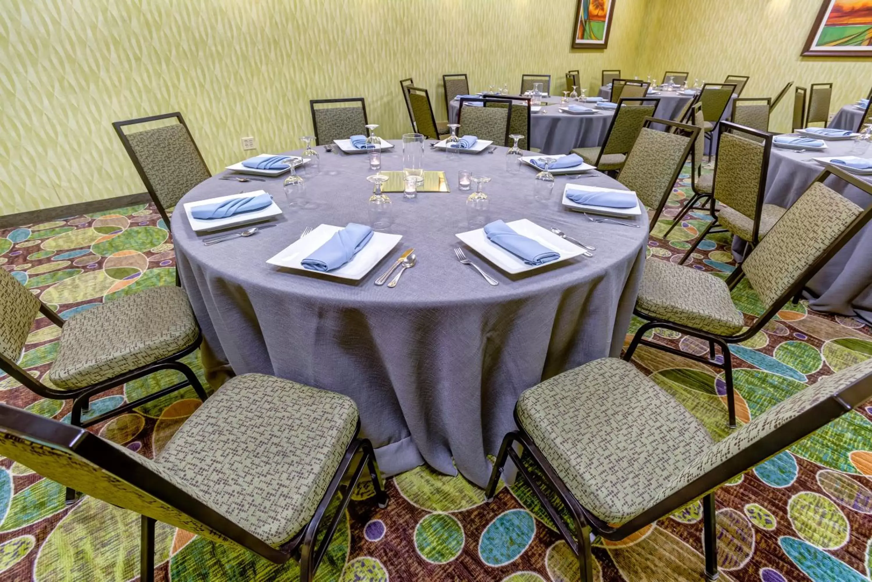 Banquet/Function facilities in Holiday Inn Indianapolis North-Carmel, an IHG Hotel