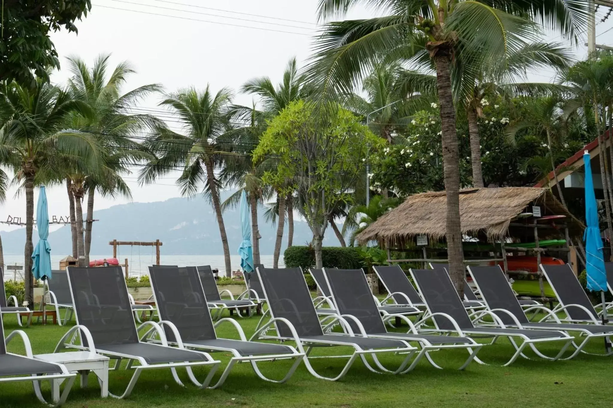 Sea view, Beach in Dolphin Bay Beach Resort