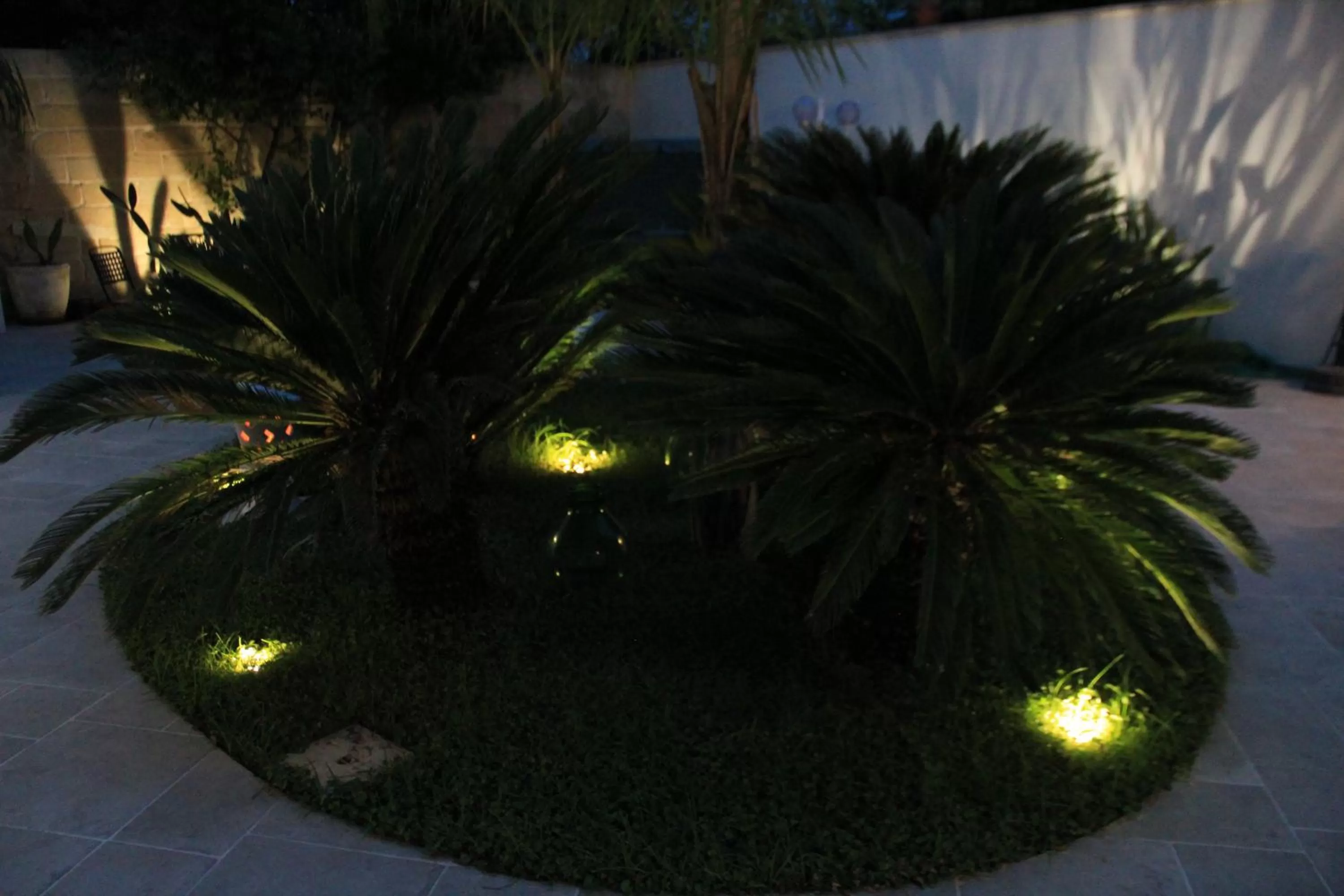 Garden in Il Giardino della Scuncerta