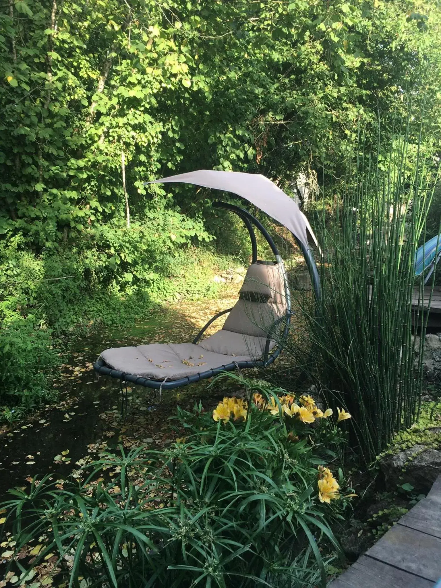 Garden in Chambre d'hôtes