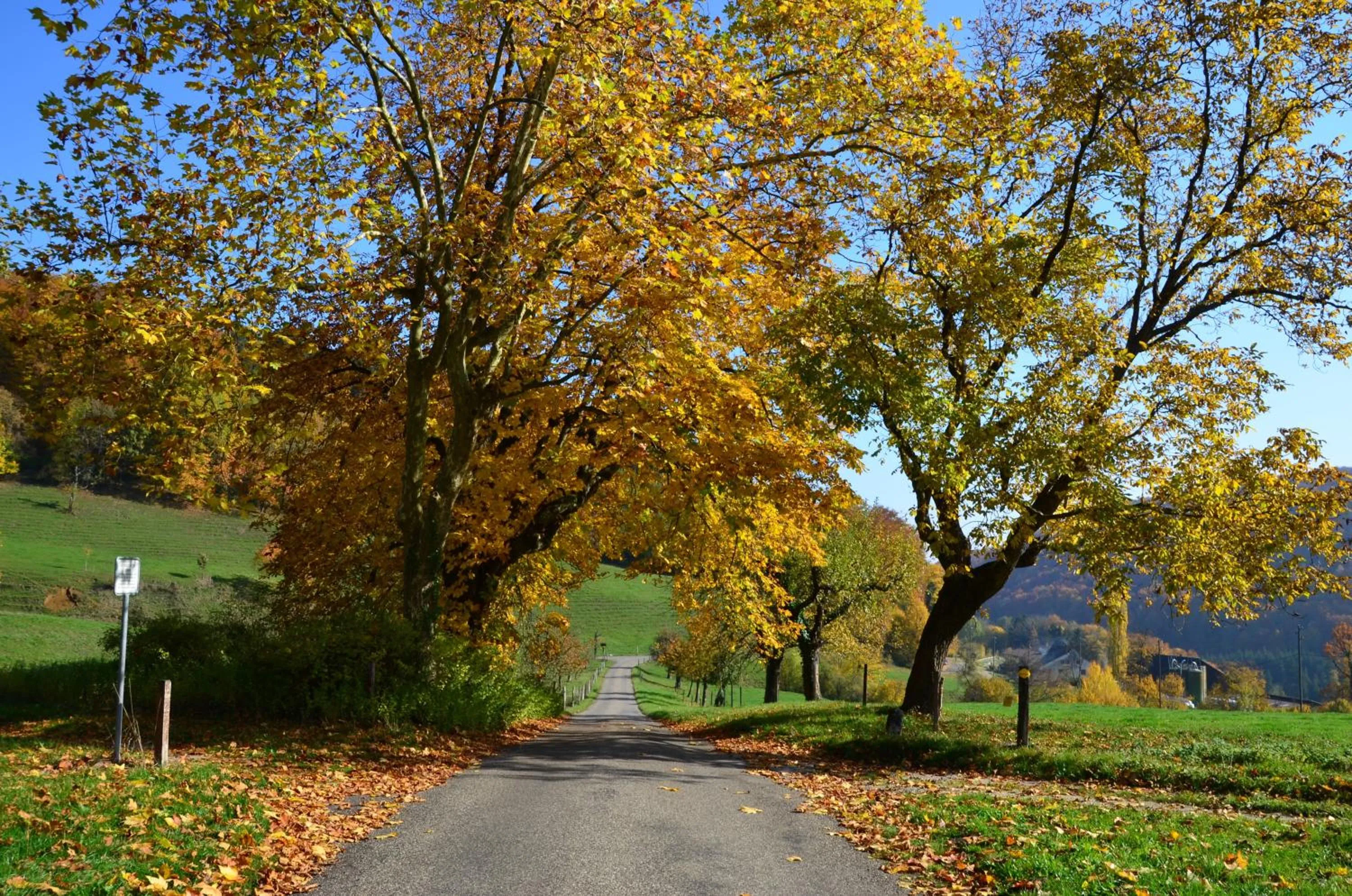 Day in Bad Schauenburg