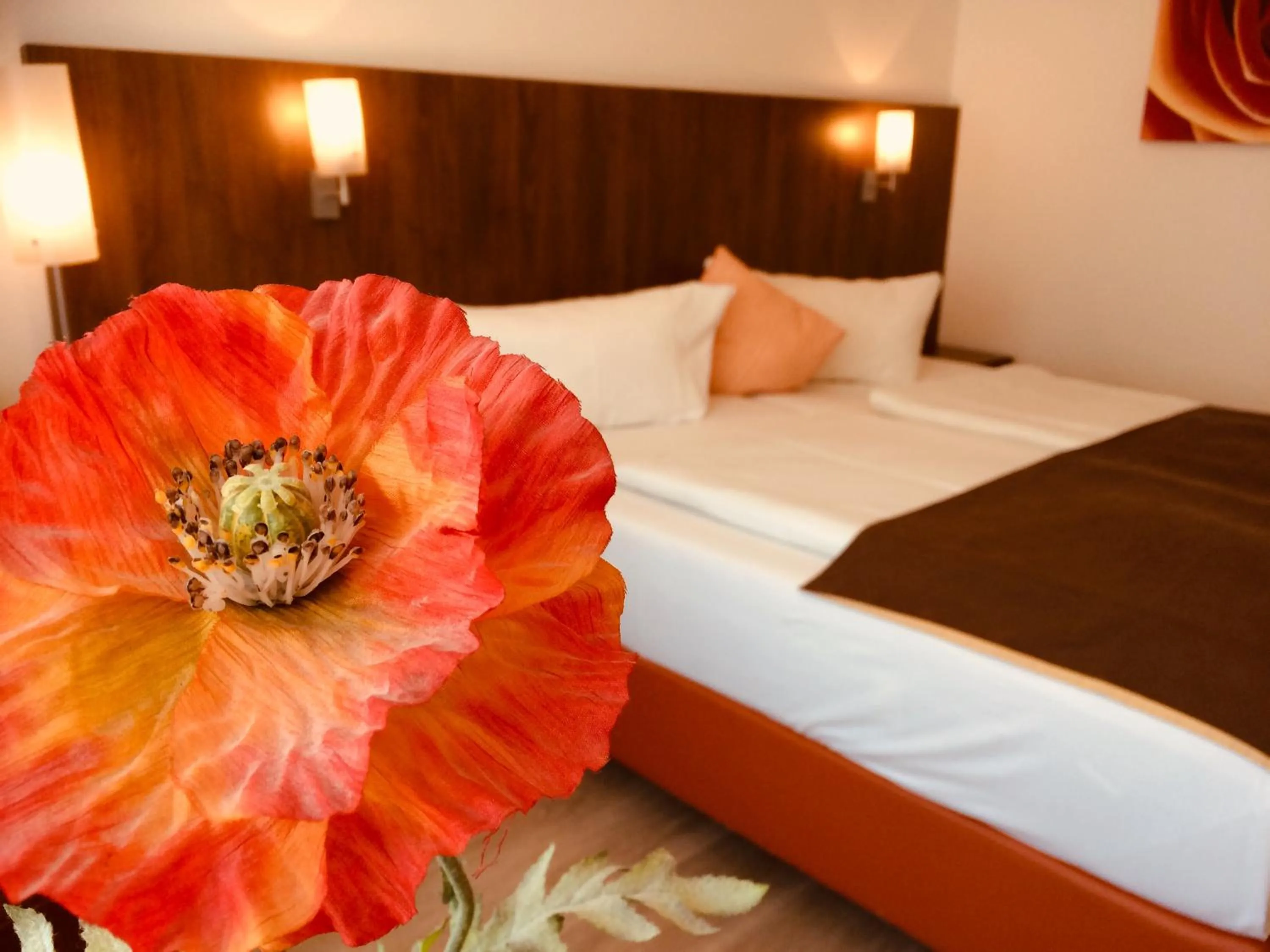 Standard Double Room - single occupancy in Hotel Triton