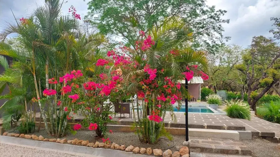 Garden in Tee-K Lodge Tamarindo