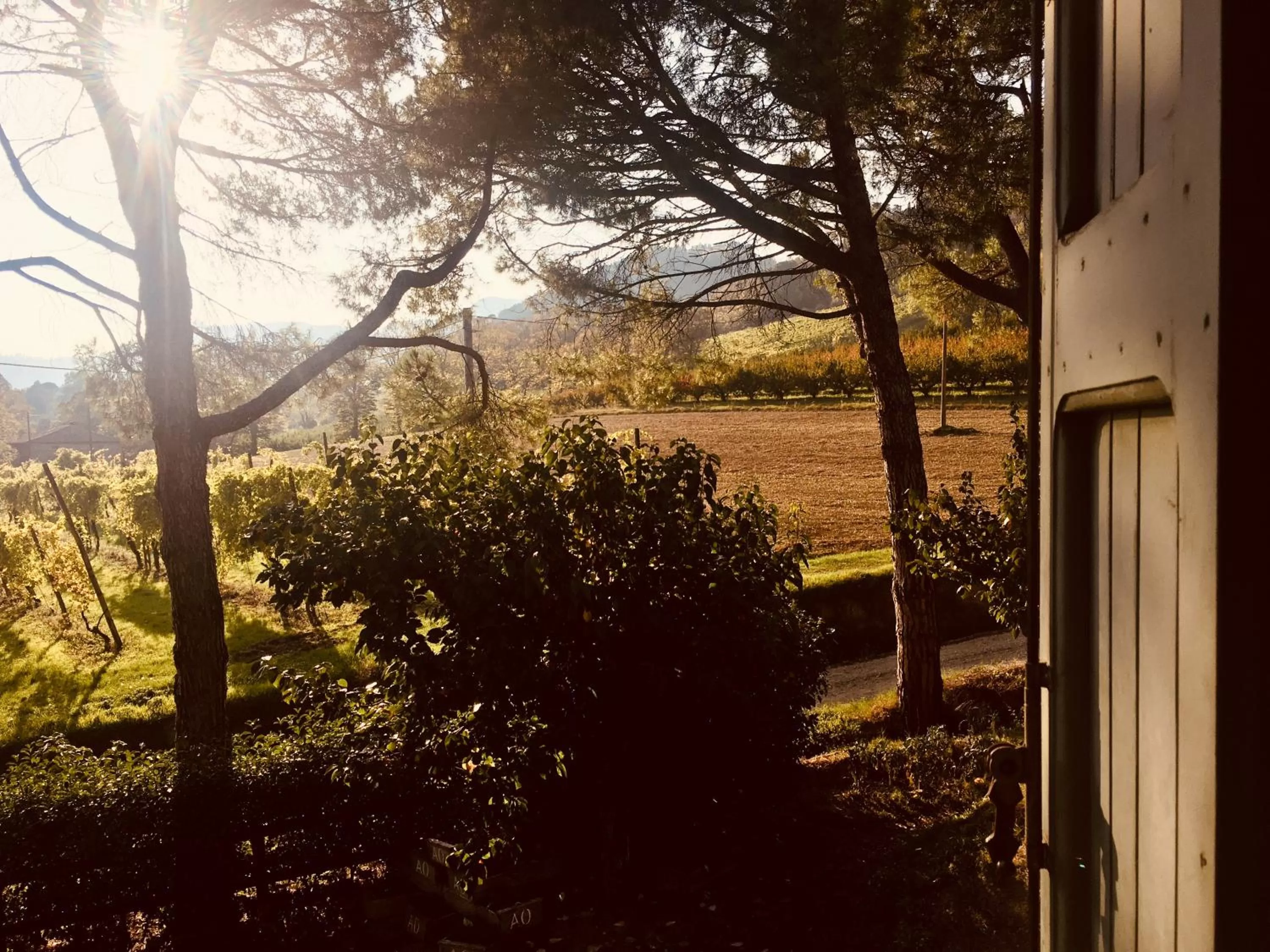 Mountain view in Il Cardello Locanda