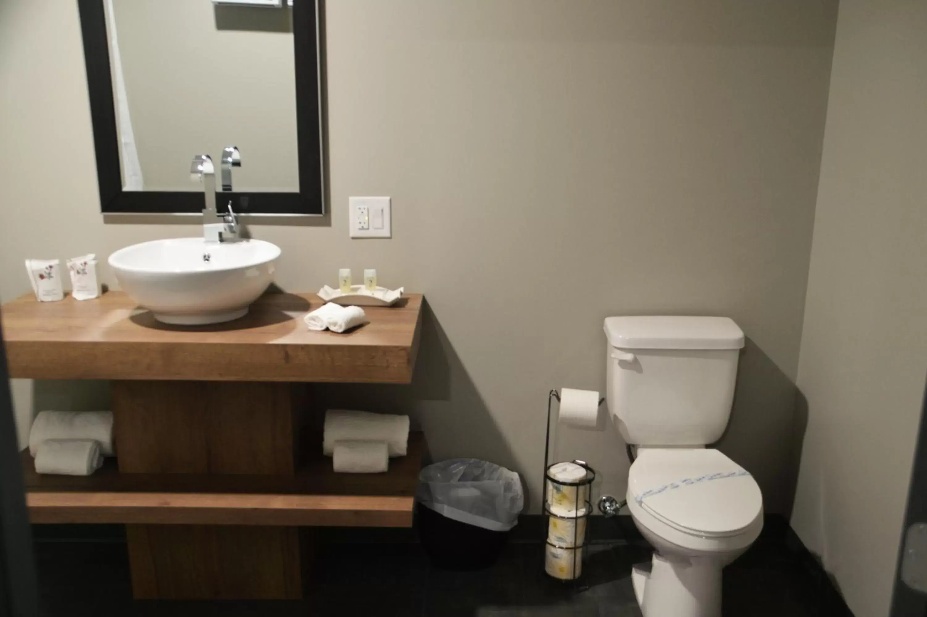 Property building, Bathroom in Motel St-Ambroise