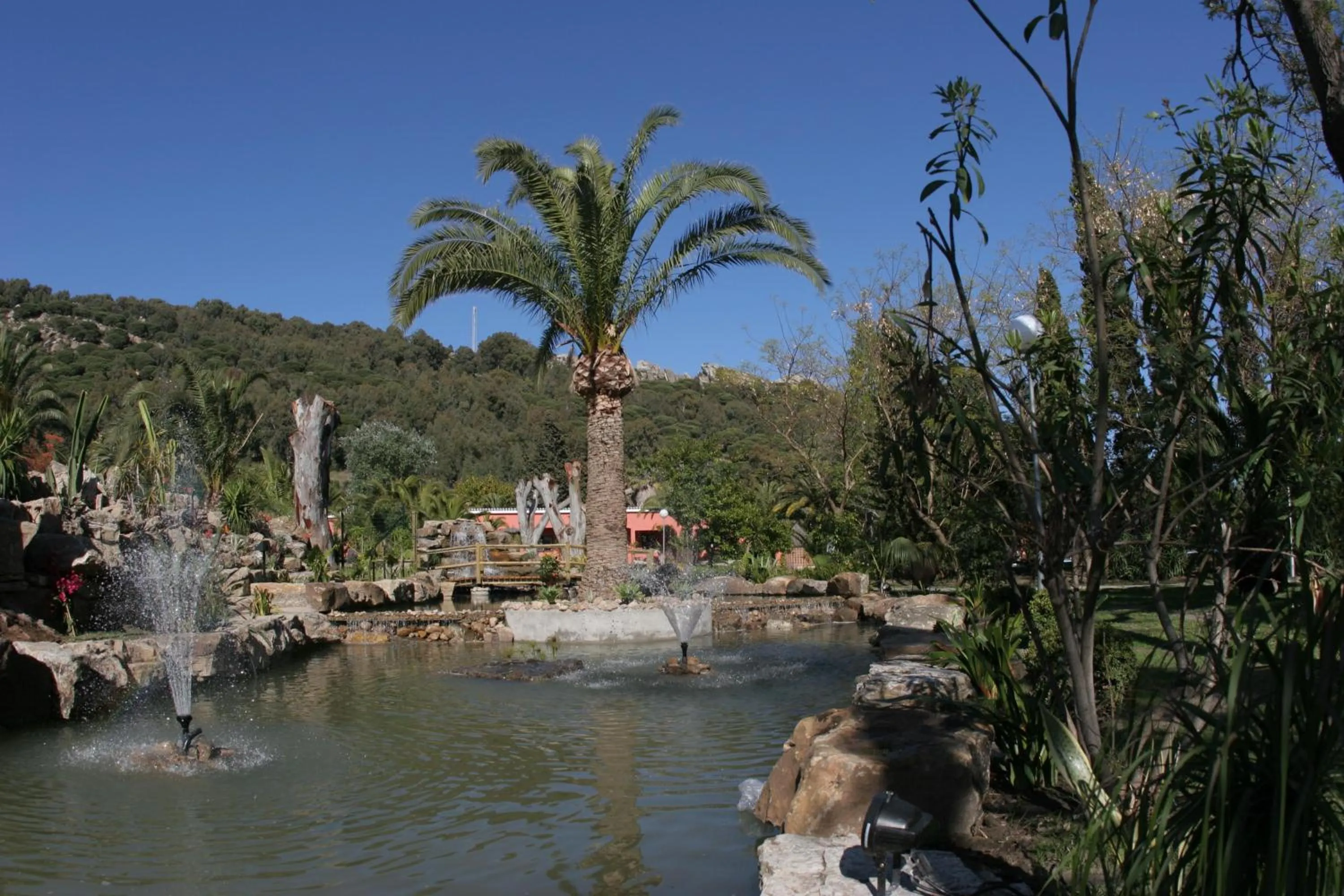 Garden in Hotel Punta Sur