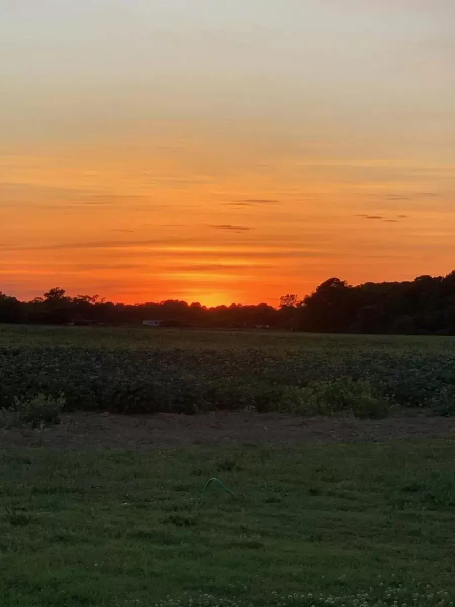 Natural landscape, Sunrise/Sunset in Cape Motel