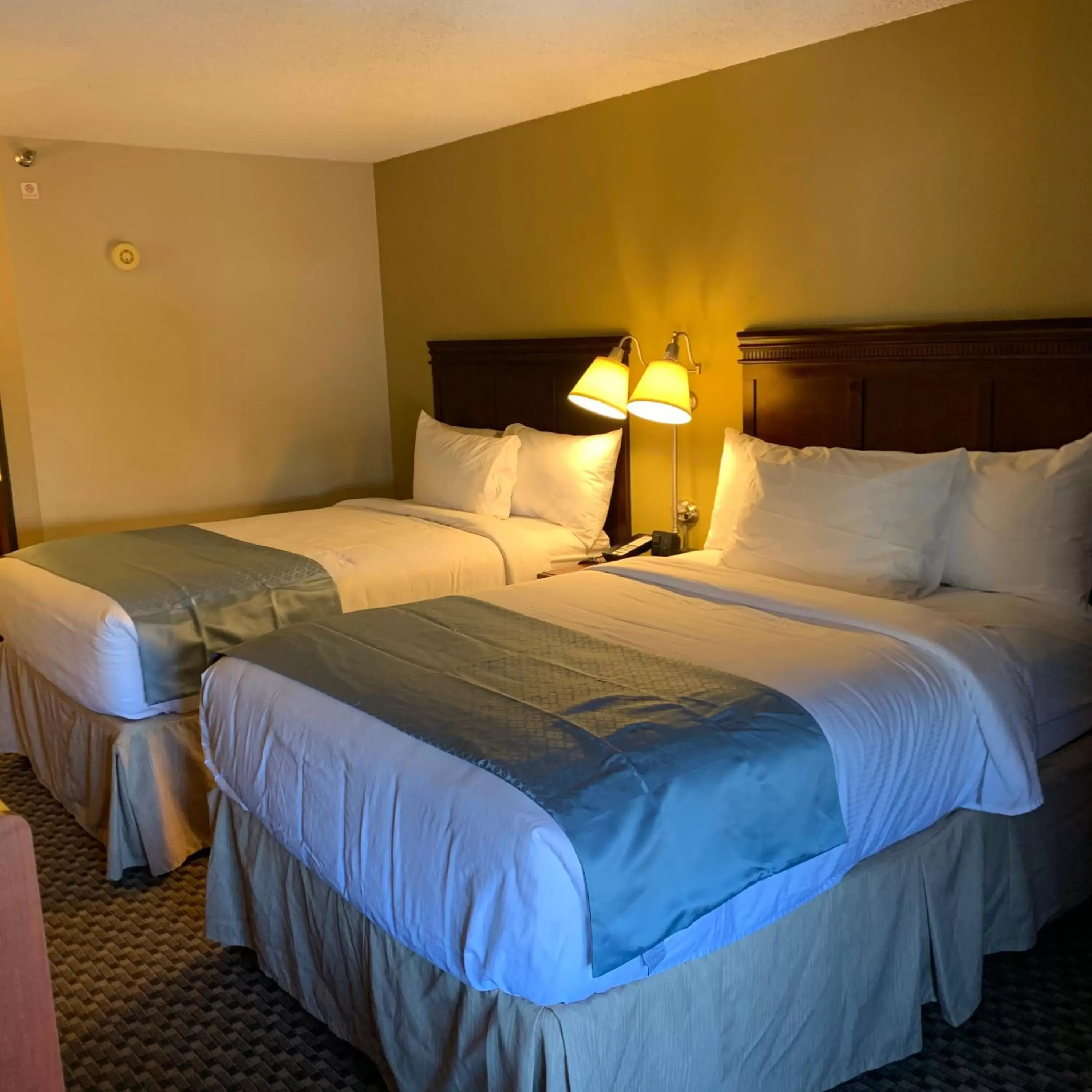 Bed in Wingate by Wyndham Colorado Springs