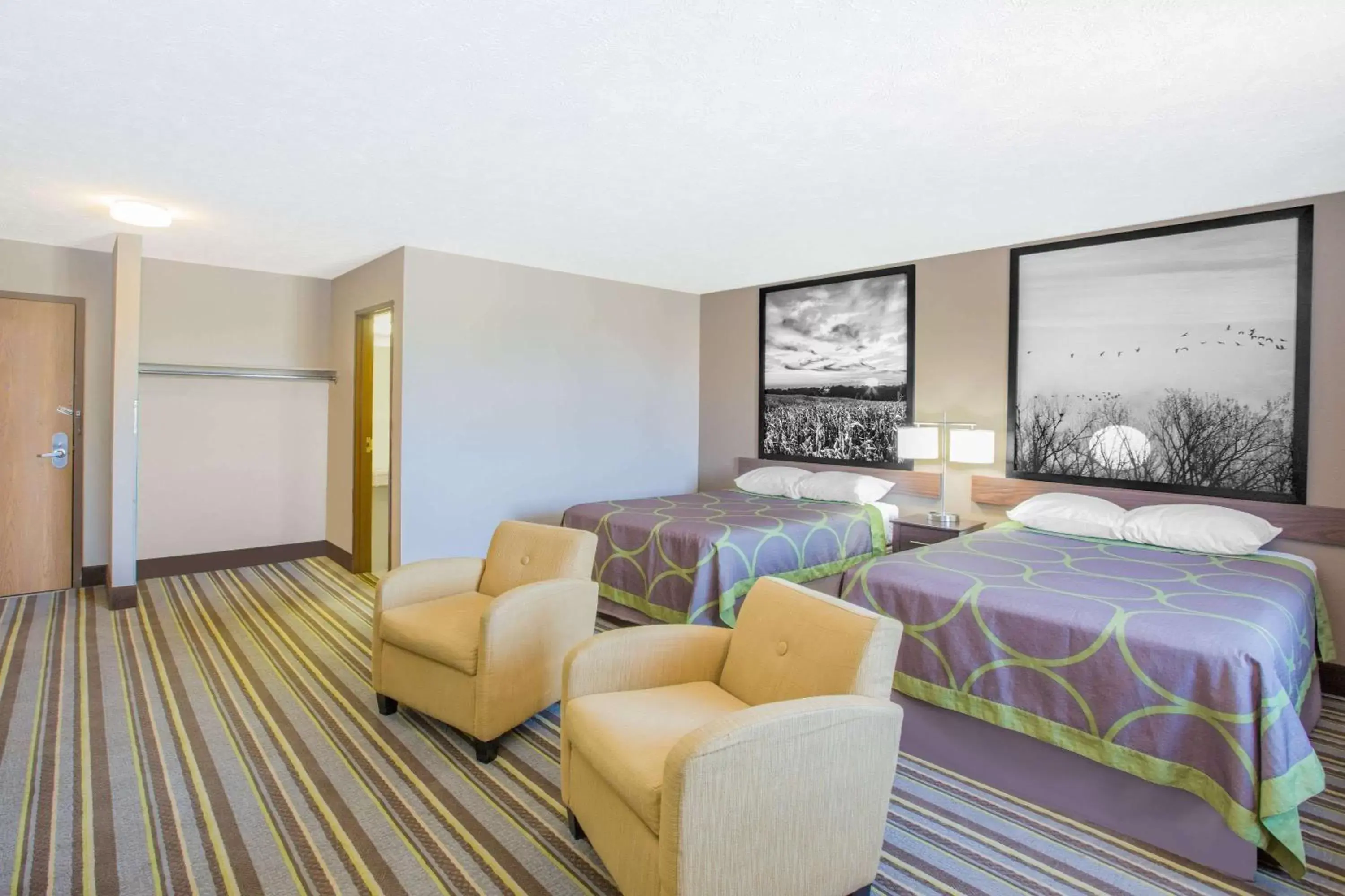 Photo of the whole room, Bed in Super 8 by Wyndham Hastings Photo of the whole room, Bed in Super 8 by Wyndham Hastings