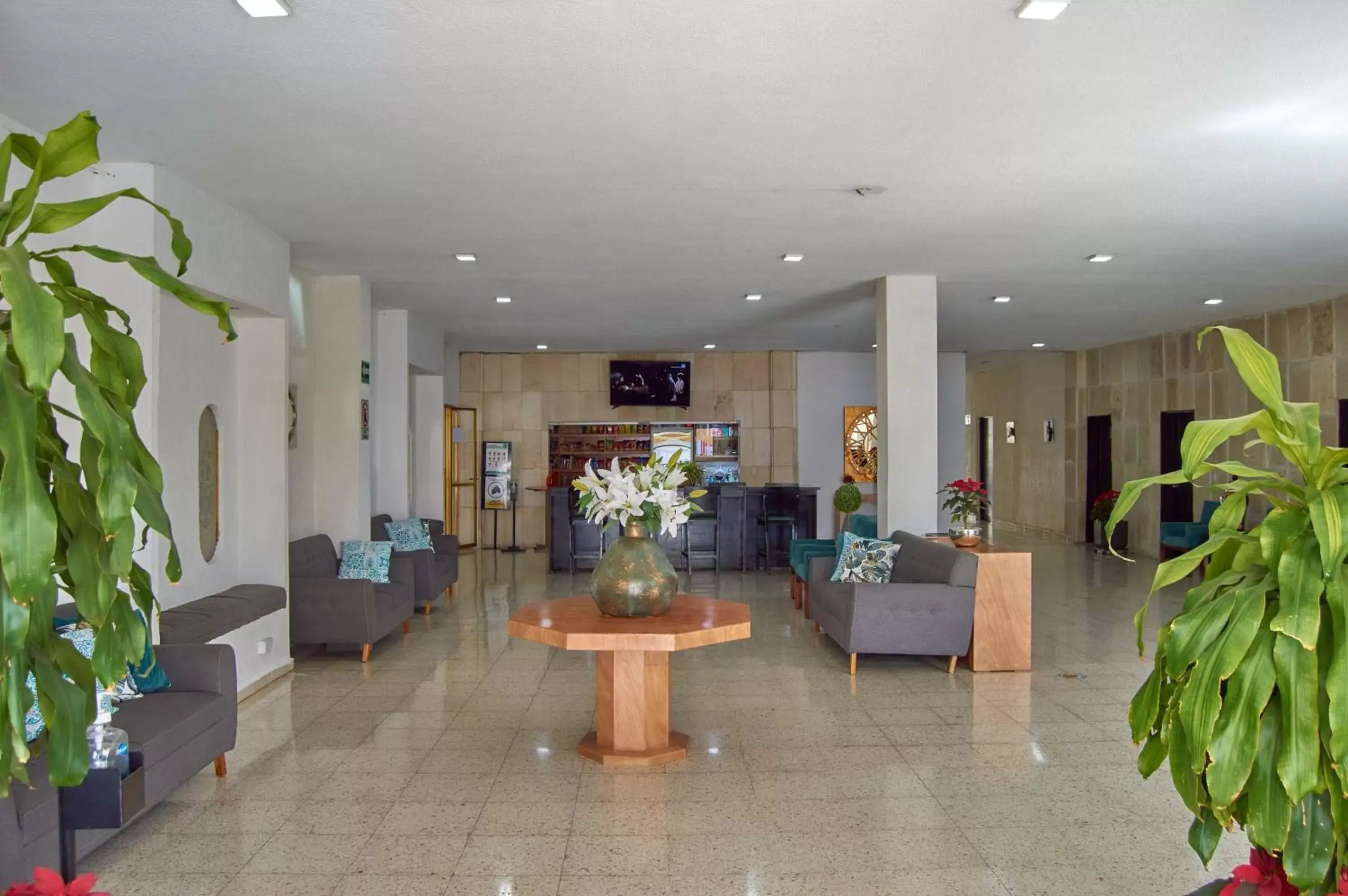 Lobby or reception, Lobby/Reception in Hotel del Alba Inn & Suites