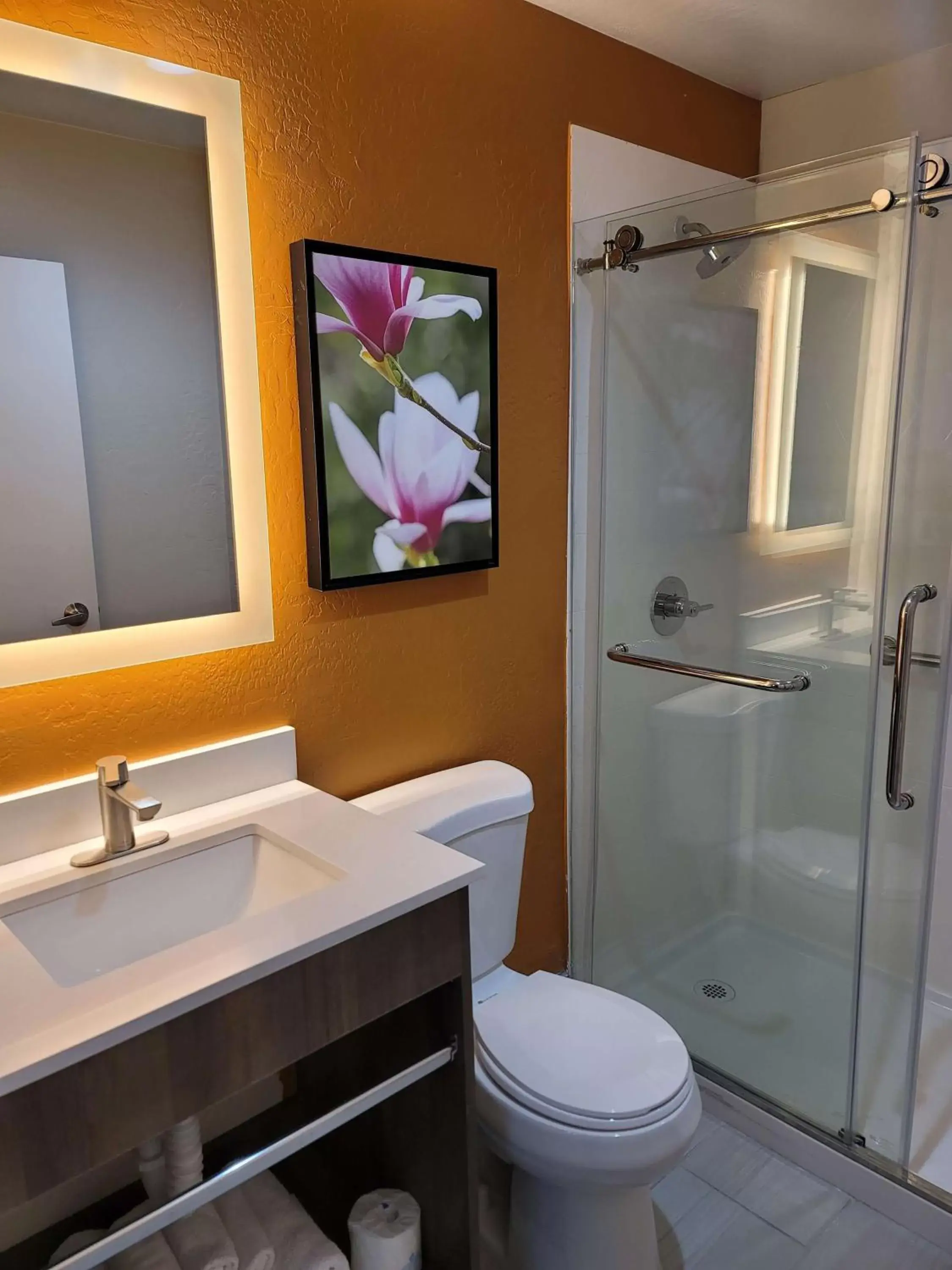 Bathroom in Best Western Bellemont Shadow Mountain Inn