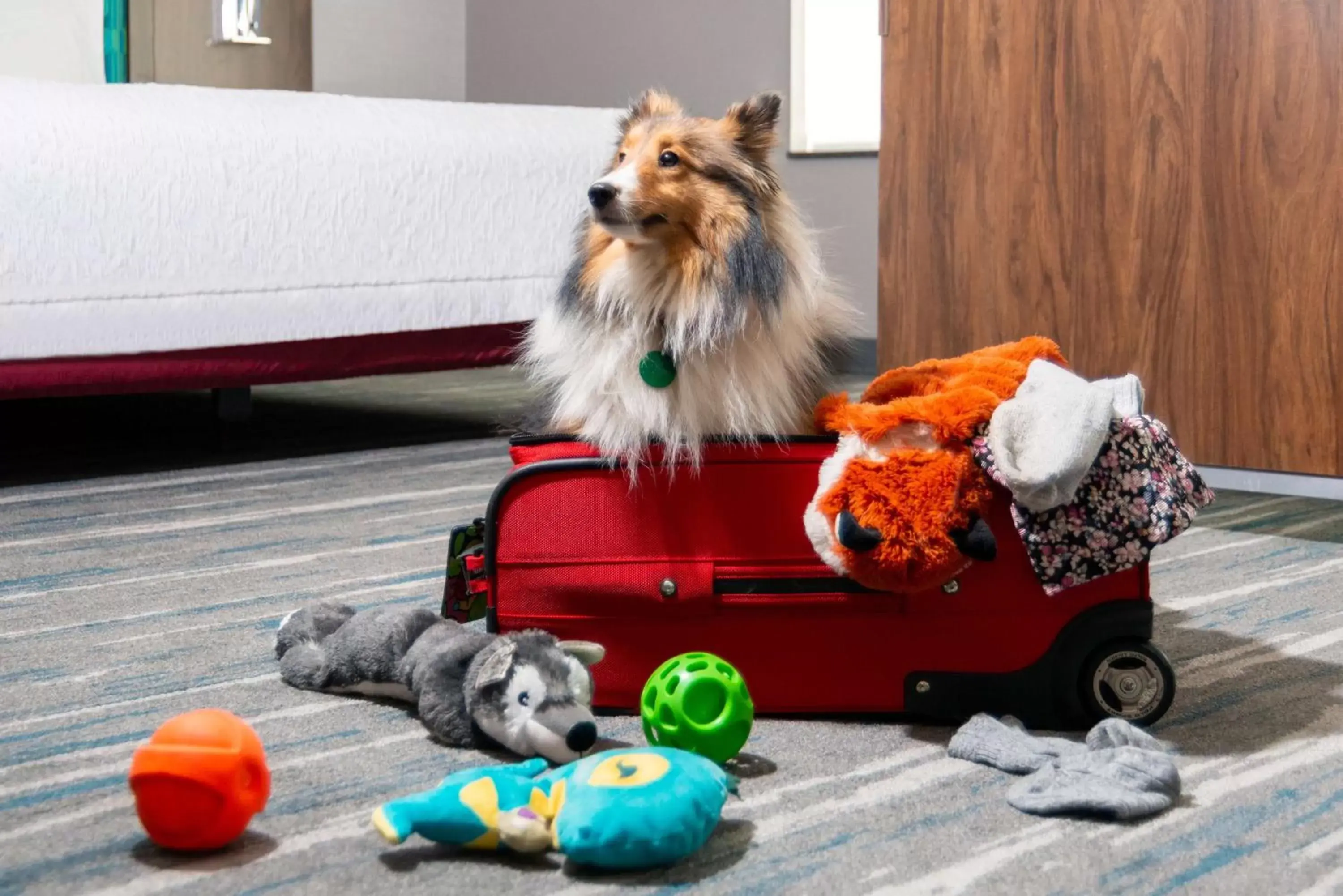 Photo of the whole room, Pets in Hampton Inn and Suites Hartford/Farmington