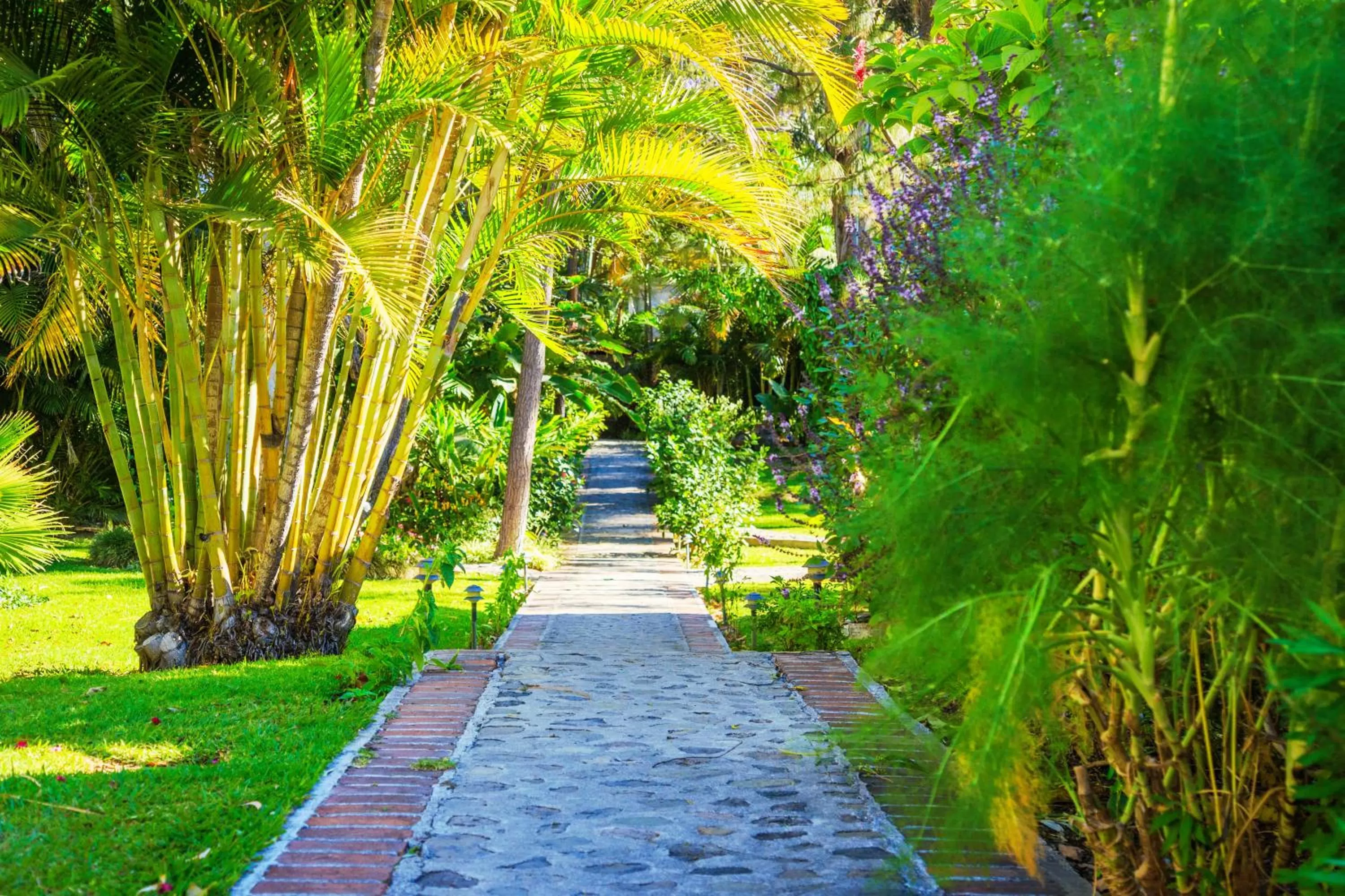 Garden in Regis Hotel Spa