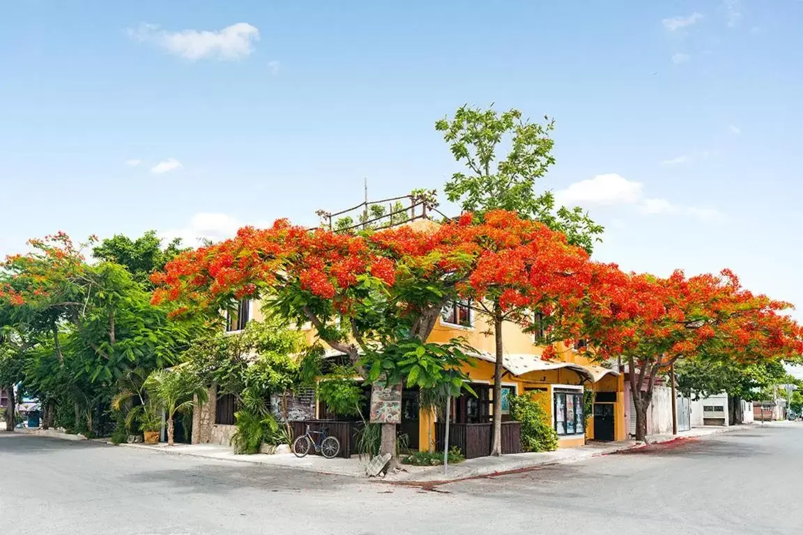 Property Building in Maison Tulum