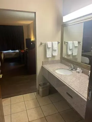 Bathroom in Baymont by Wyndham Battle Creek/I-94